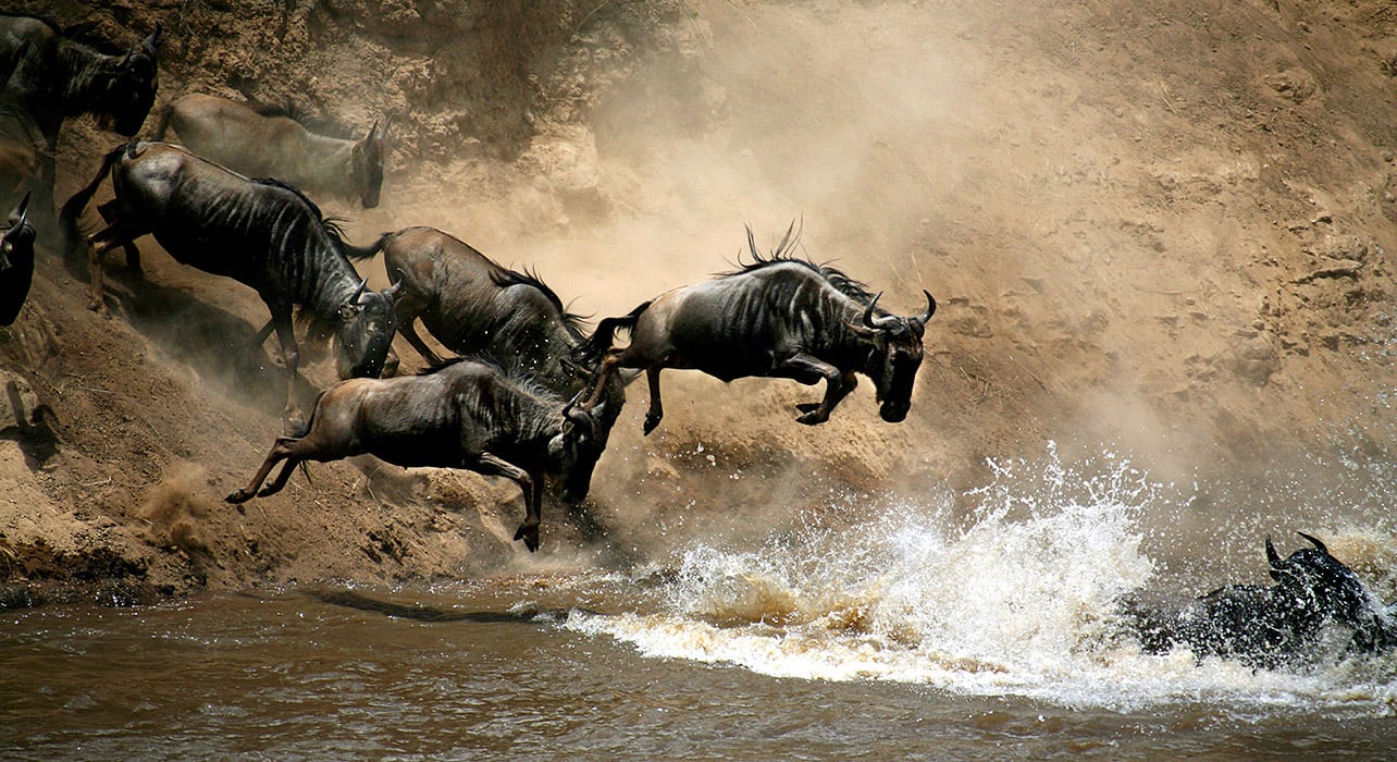 3-Day Maasai Mara Safari by 4WD Landcruiser from Nairobi
