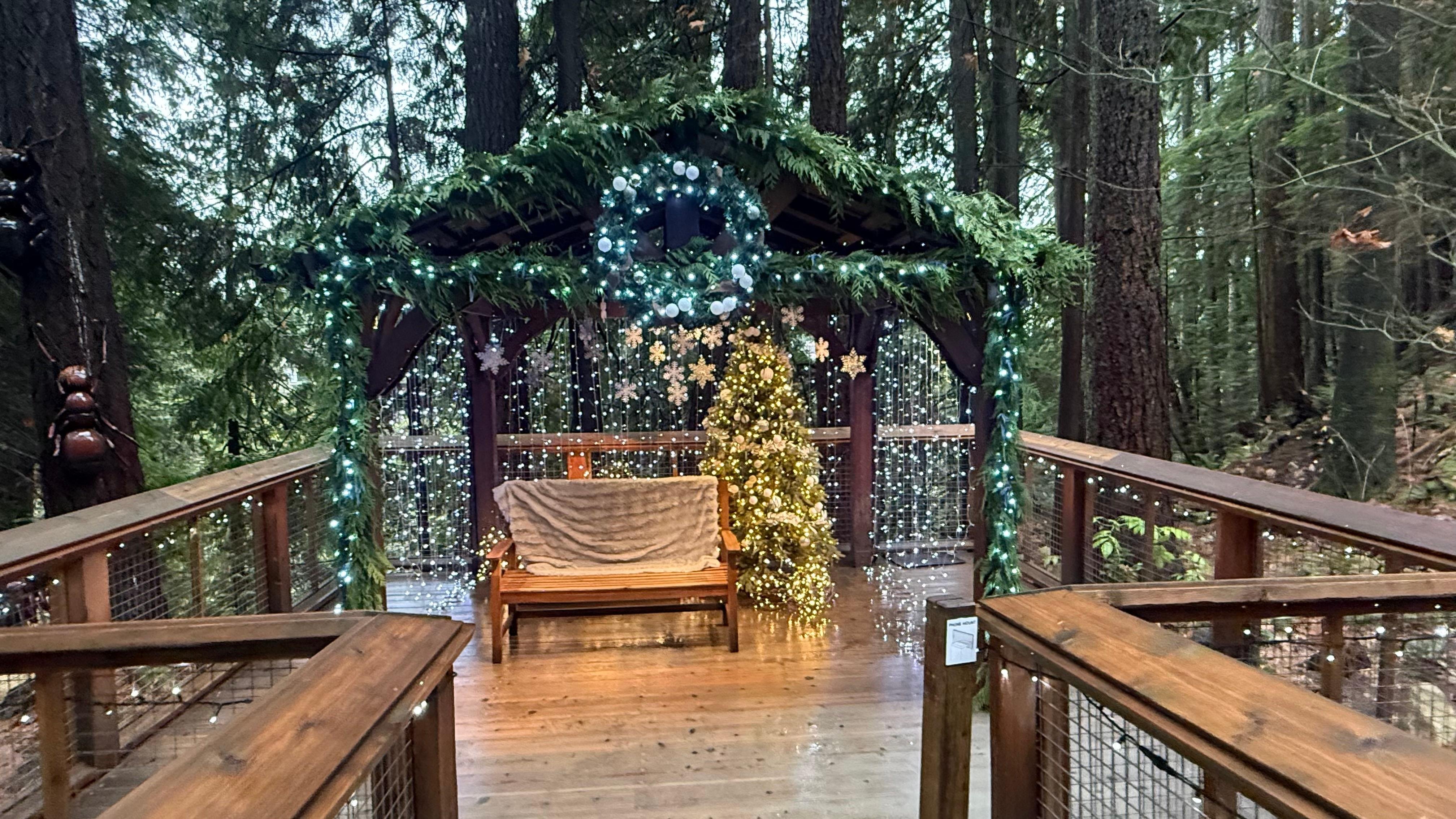 Capilano Suspension Bridge & Stanley Park Small Group Tour