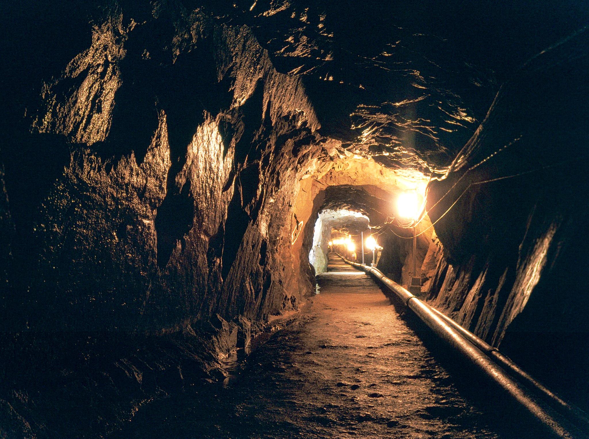 Seoul Private DMZ Day Tour: 3rd Tunnel & Gamaksan Suspension Bridge