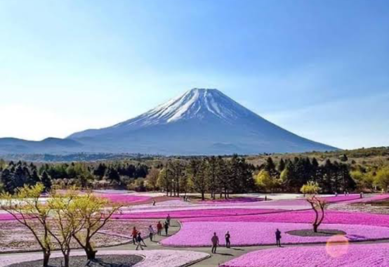 Tokyo: Private Mt. Fuji Full-Day Tour with English Guide