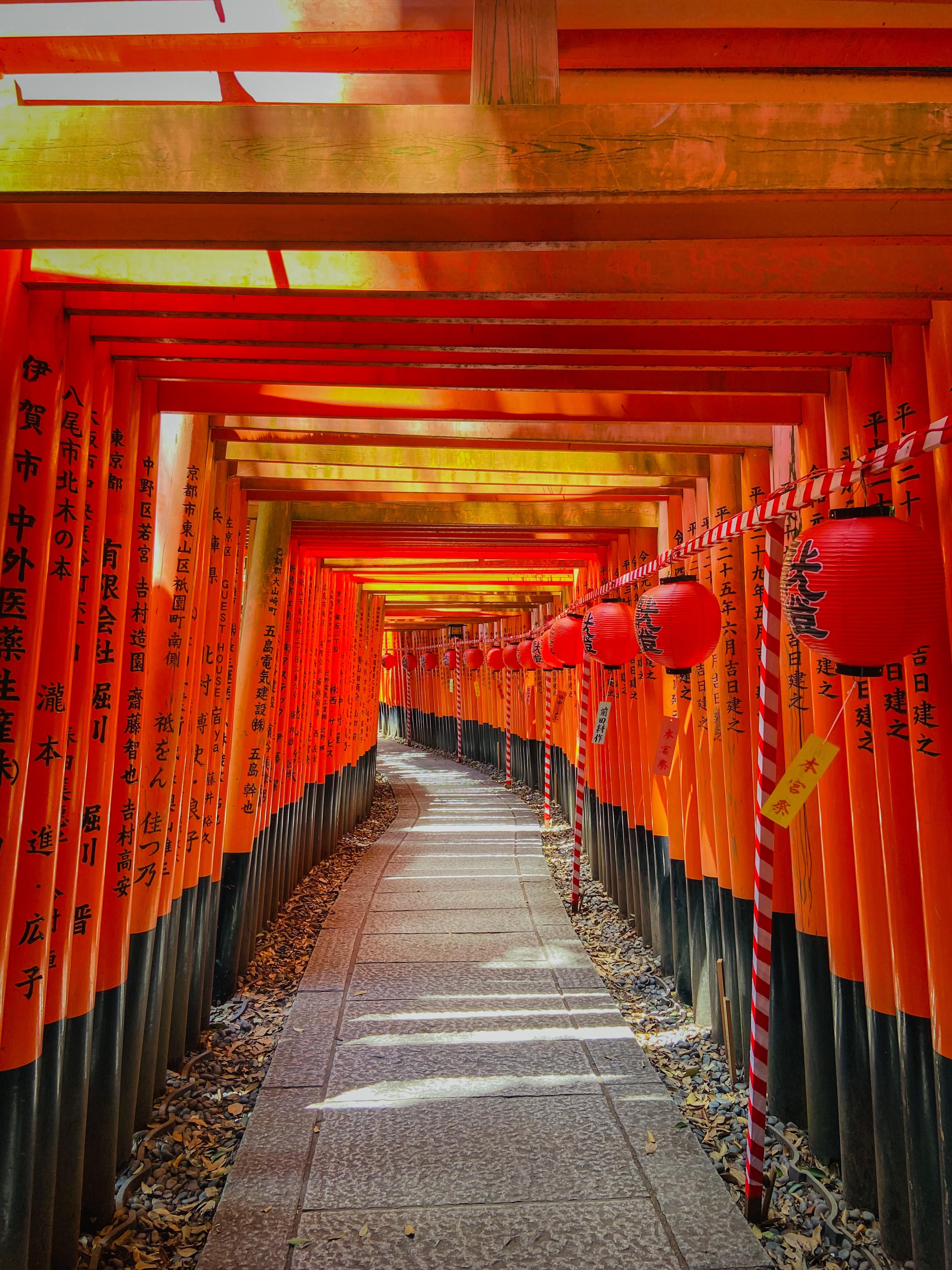 Kyoto Private Day Tour with Guide & Vehicle
