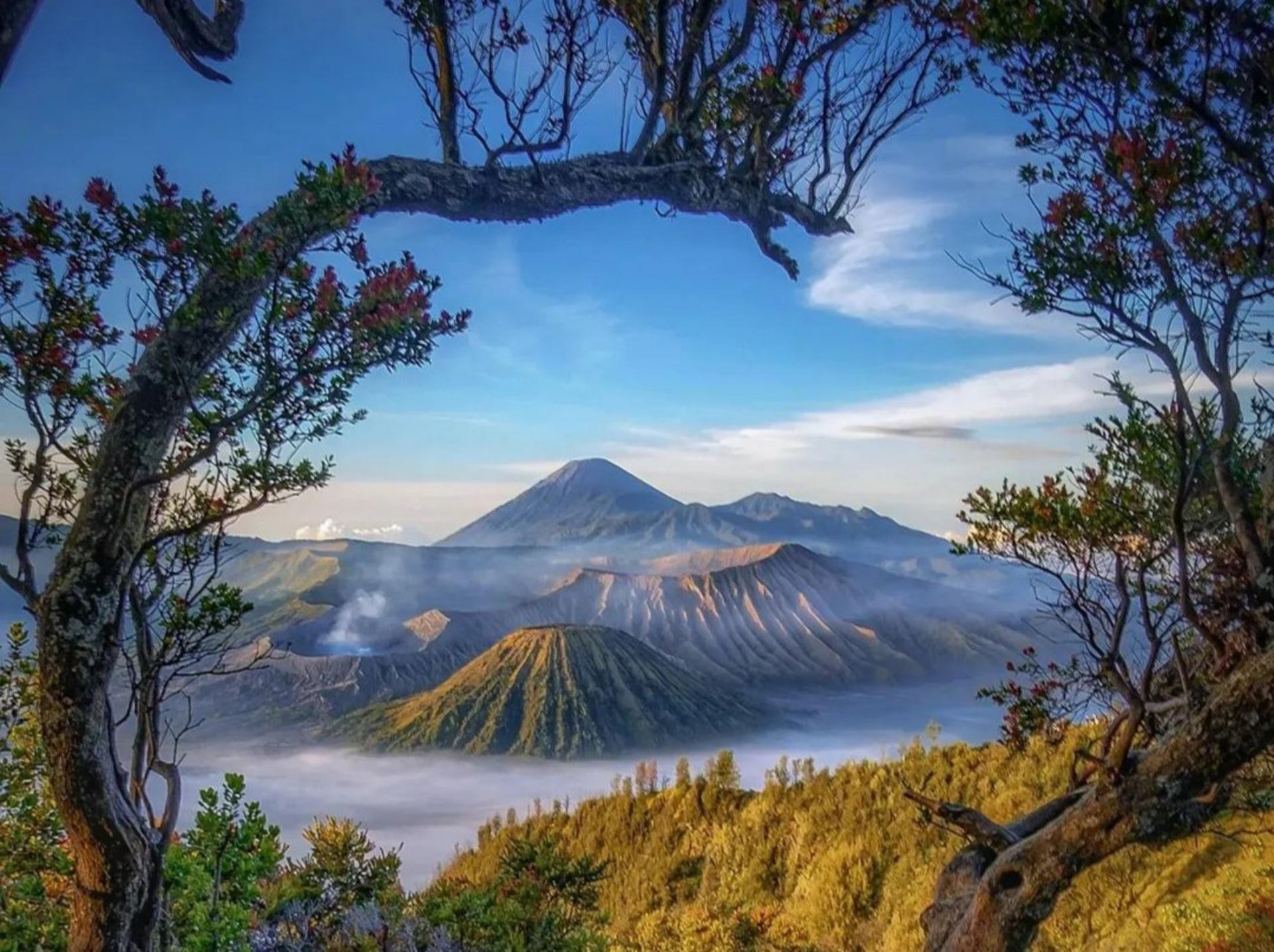 Mount Bromo Sunrise & Ijen Blue Fire Tour
