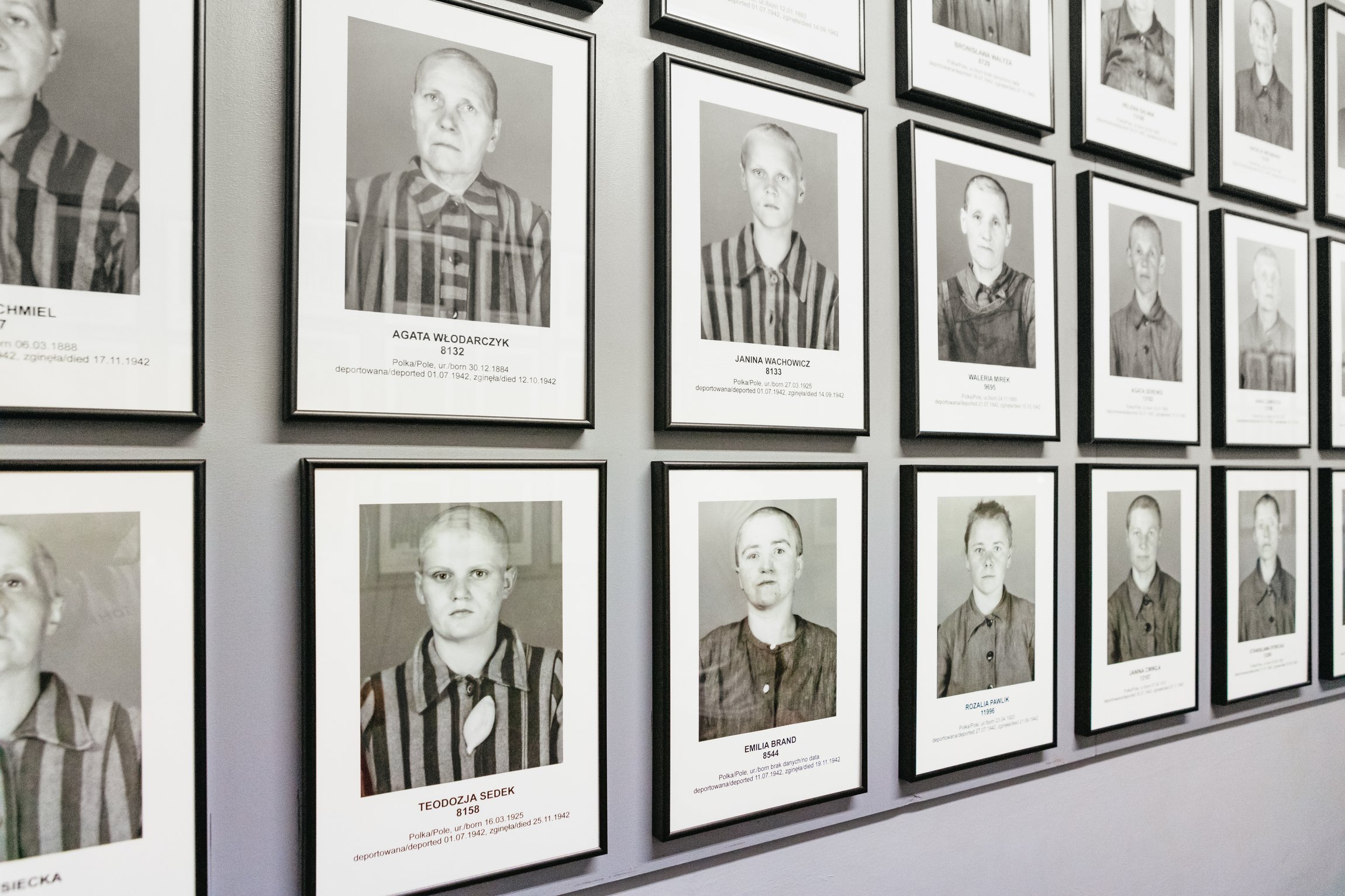 Zwiedzanie Auschwitz-Birkenau z przewodnikiem i pierwszeństwem wstępu