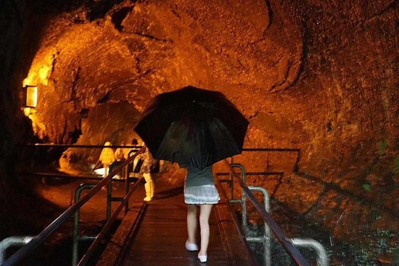 Big Island Hawaii Volcano Day tour from Oahu and Hotel PU — Kilauea and Hawaii Volcanoes National Park scenery (9)