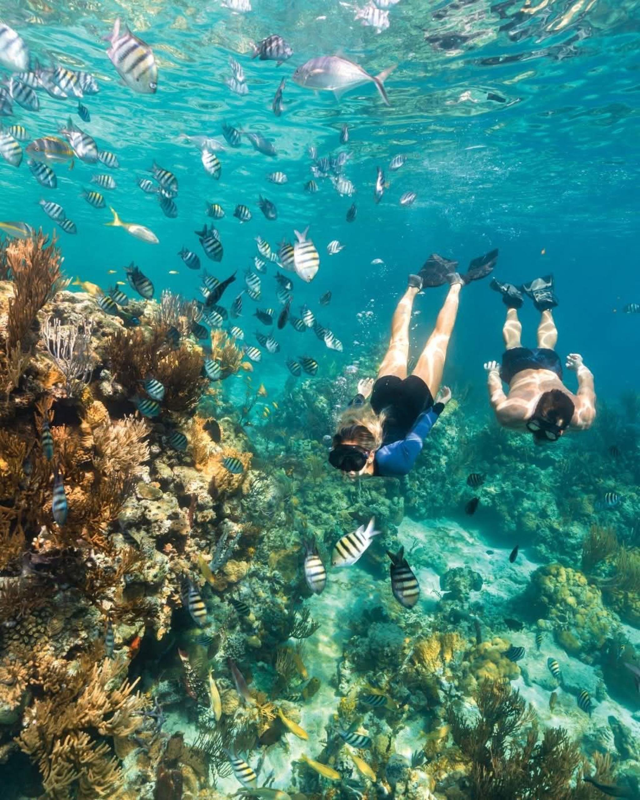 Bali Blue Lagoon Snorkel and Waterfall Adventure