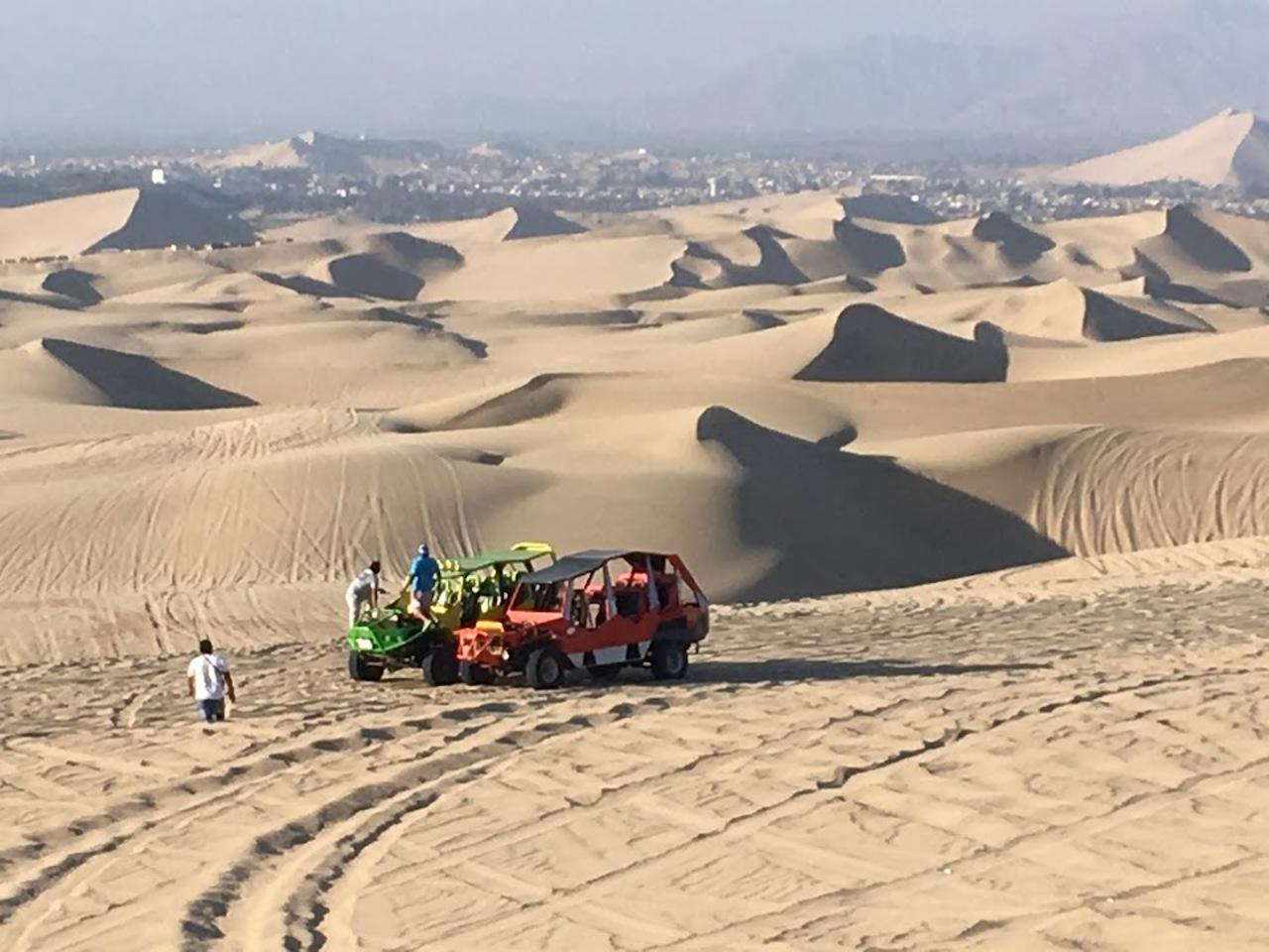 Excursión de un día a Paracas y Huacachina: vida silvestre, aventura en el desierto y cata de vinos