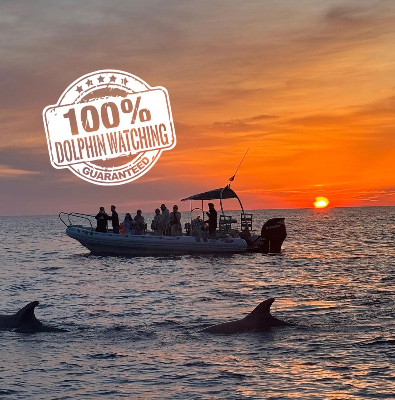 Semi-Private Dolphin Watching & Coastal Discovery