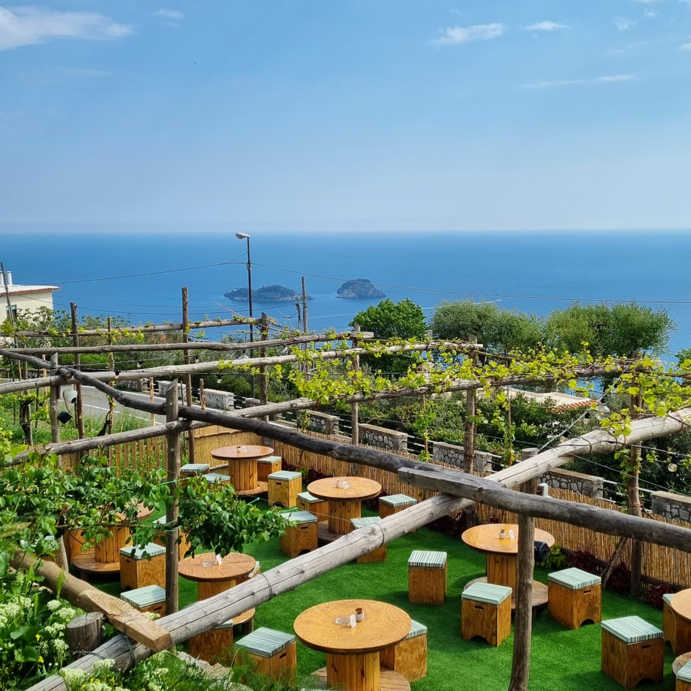 Positano Garden Cooking Class with Li Galli Views