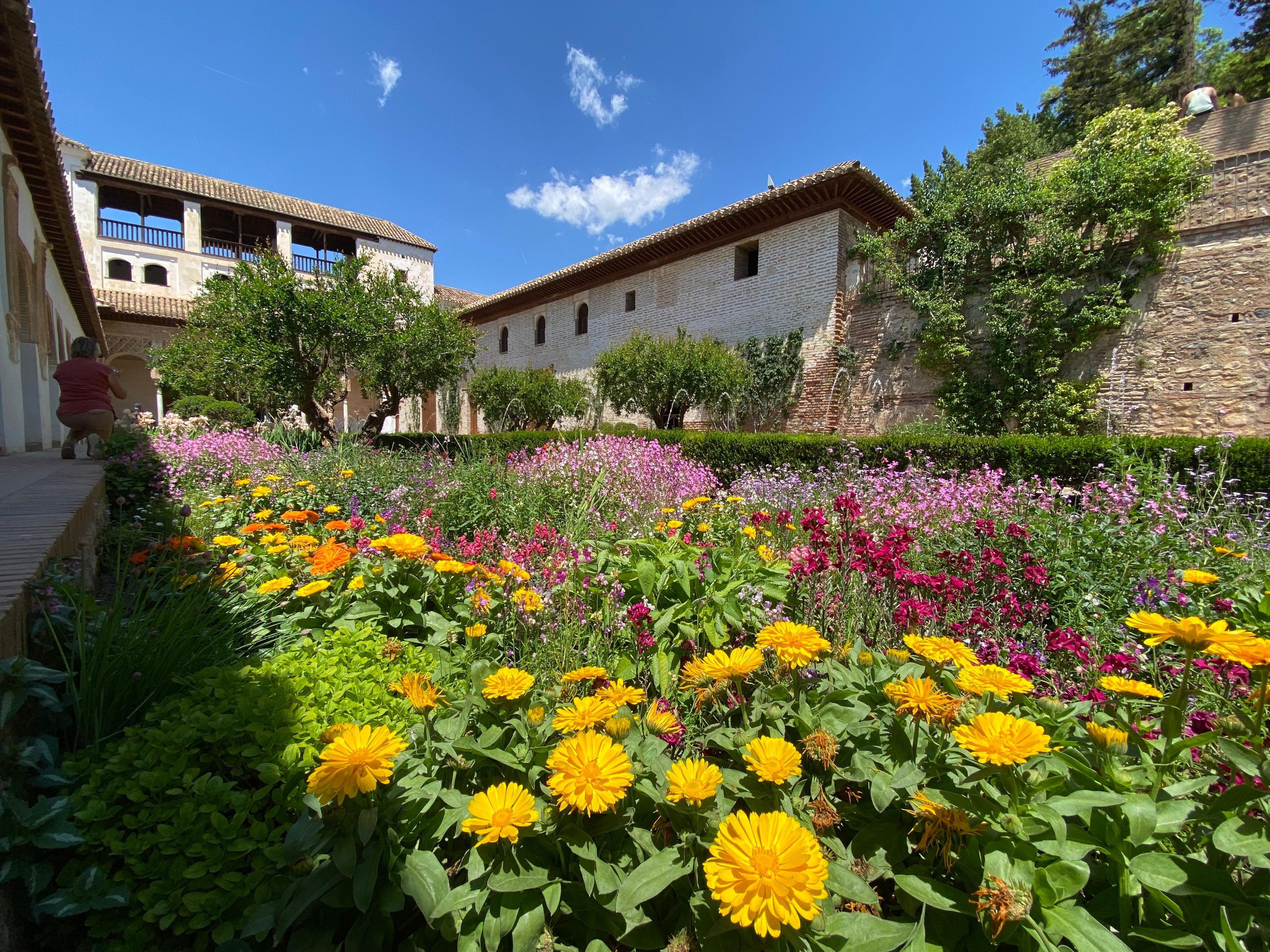 Generalife and Alhambra skip-the-line tour — Nasrid palaces, gardens, Alcazaba ramparts — image 8