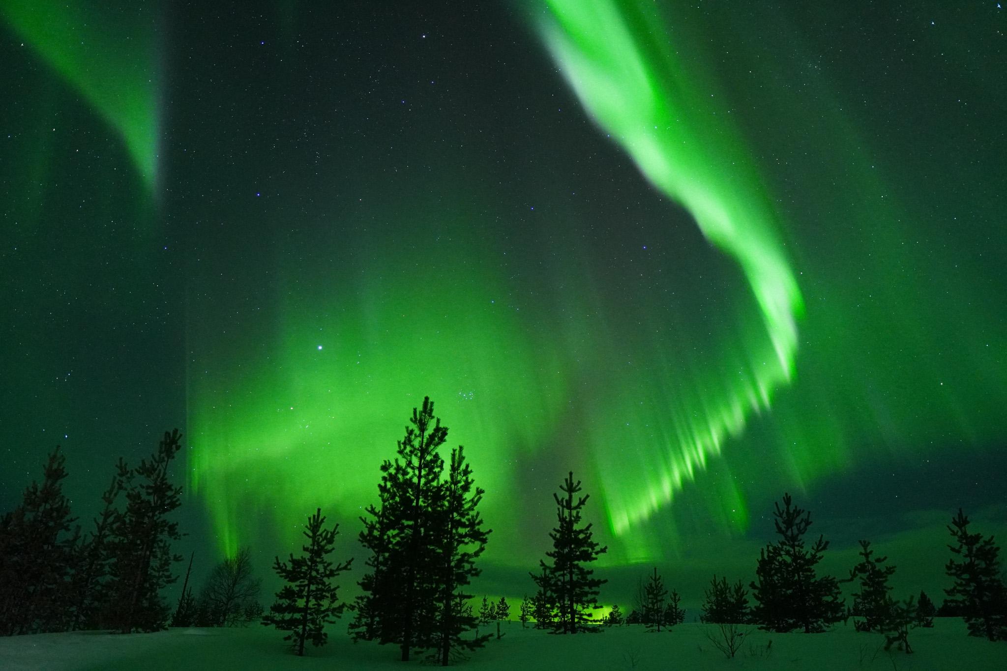 Rovaniemi Arctic Aurora Hunt — Guaranteed Northern Lights
