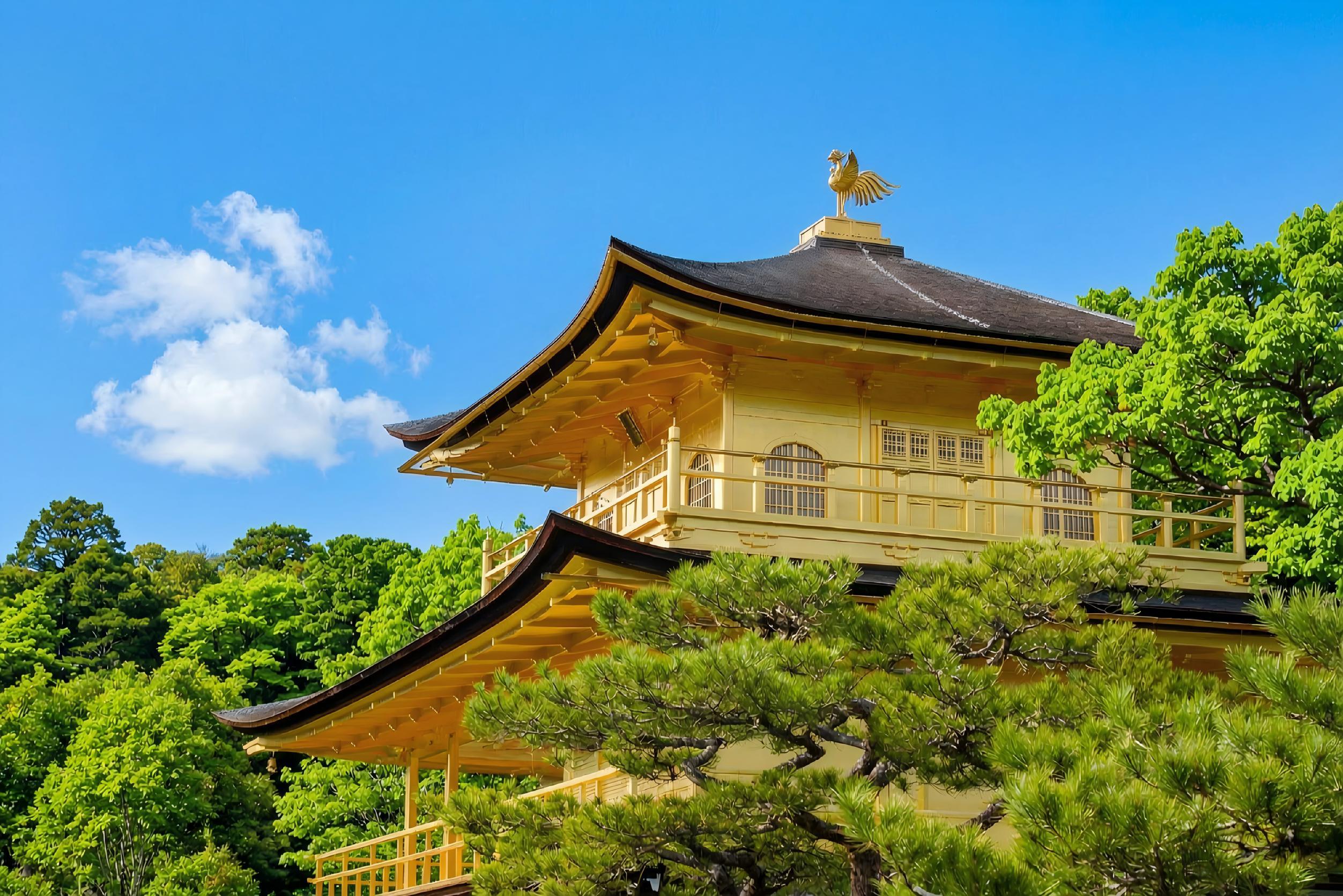 Kyoto & Arashiyama Cultural Explorer Day Trip