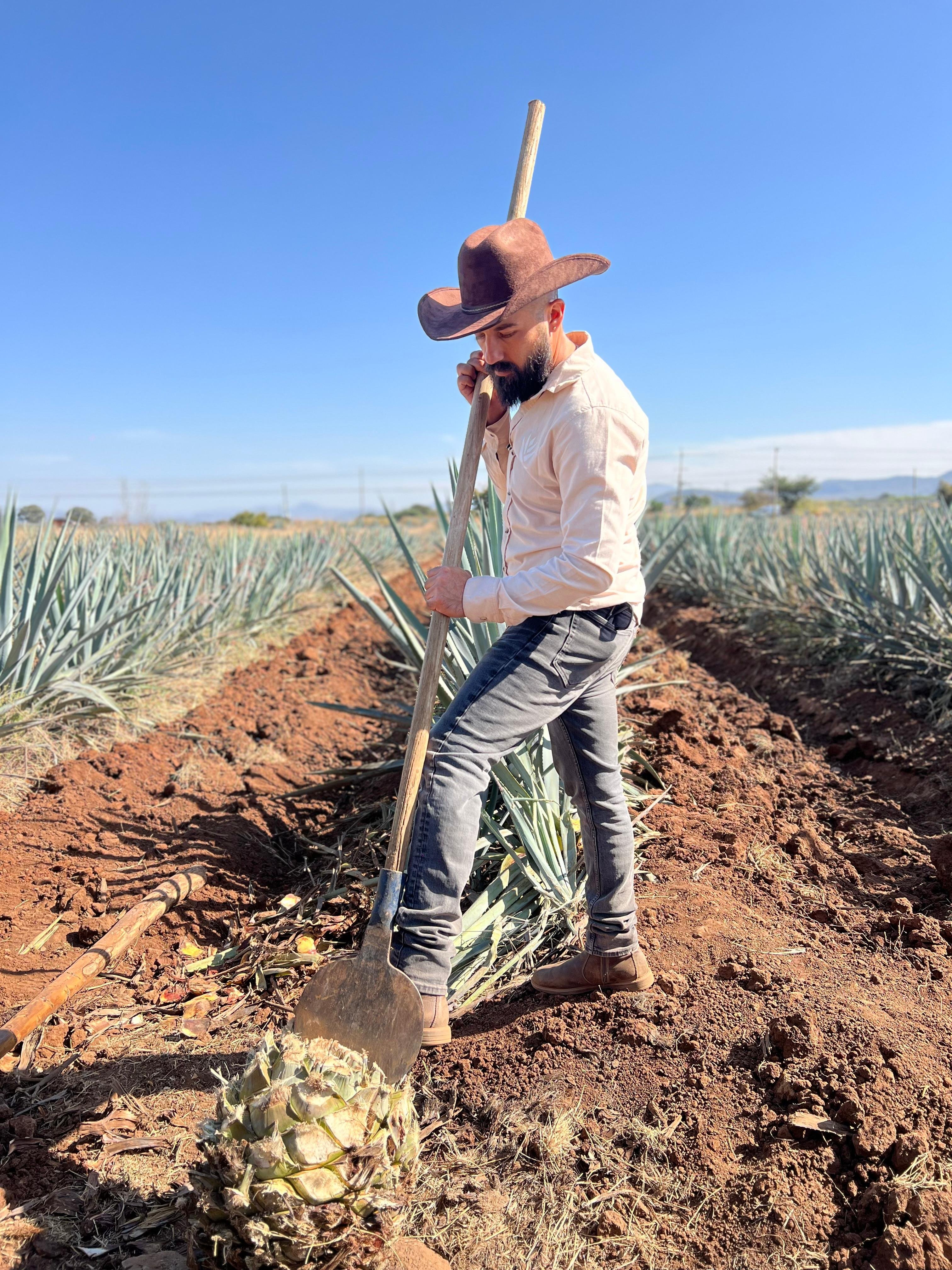 tequila tour in Guadalajara — photo 14