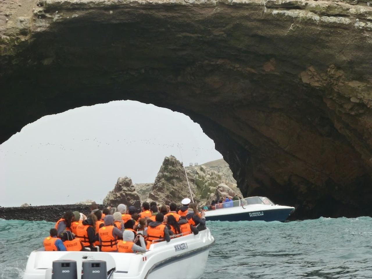 Excursión de un día a Paracas y Huacachina: vida silvestre, aventura en el desierto y cata de vinos