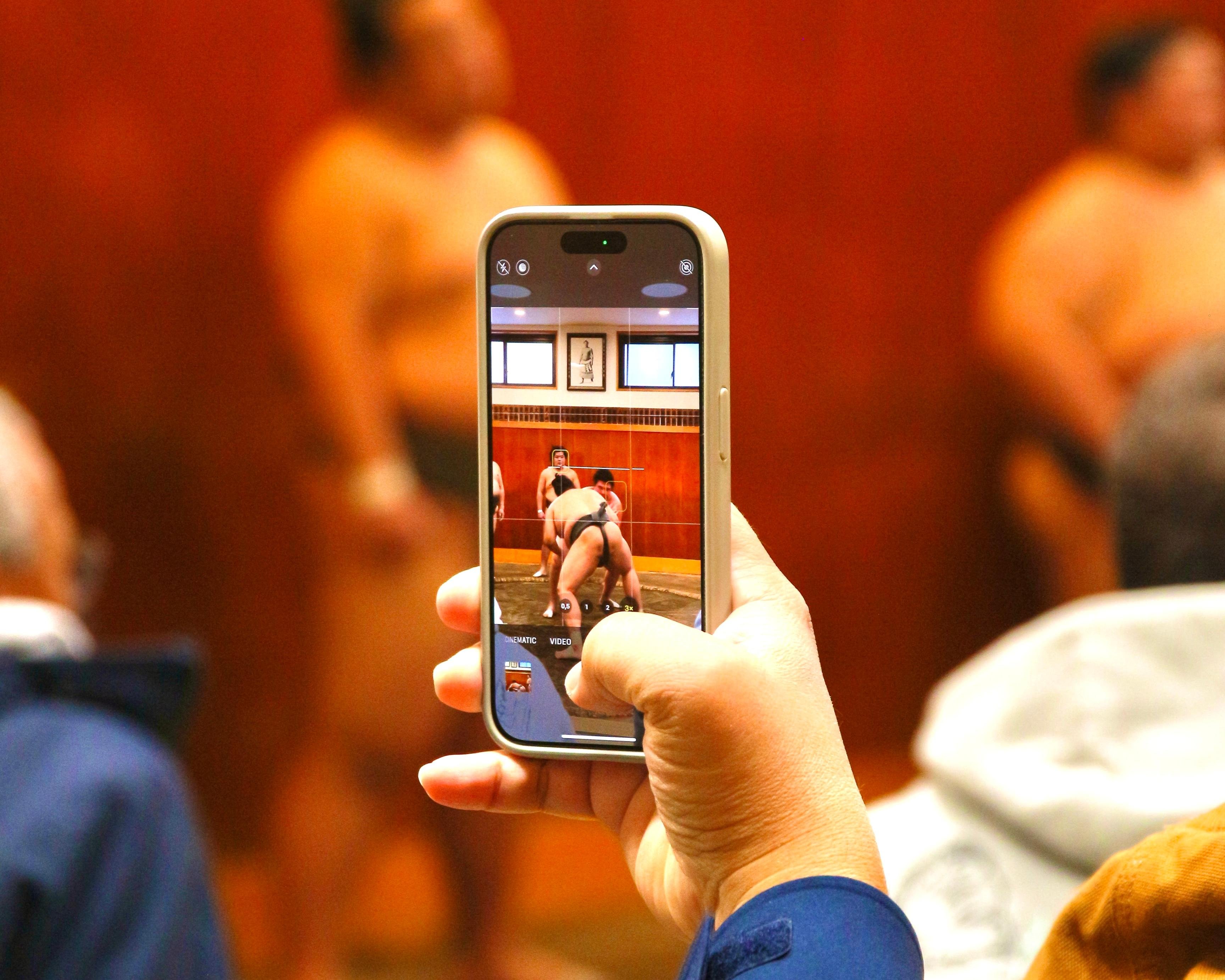 Tokyo Sumo Morning Practice: Viewing & Exclusive Interaction - 2026 (Verified Reviews)
