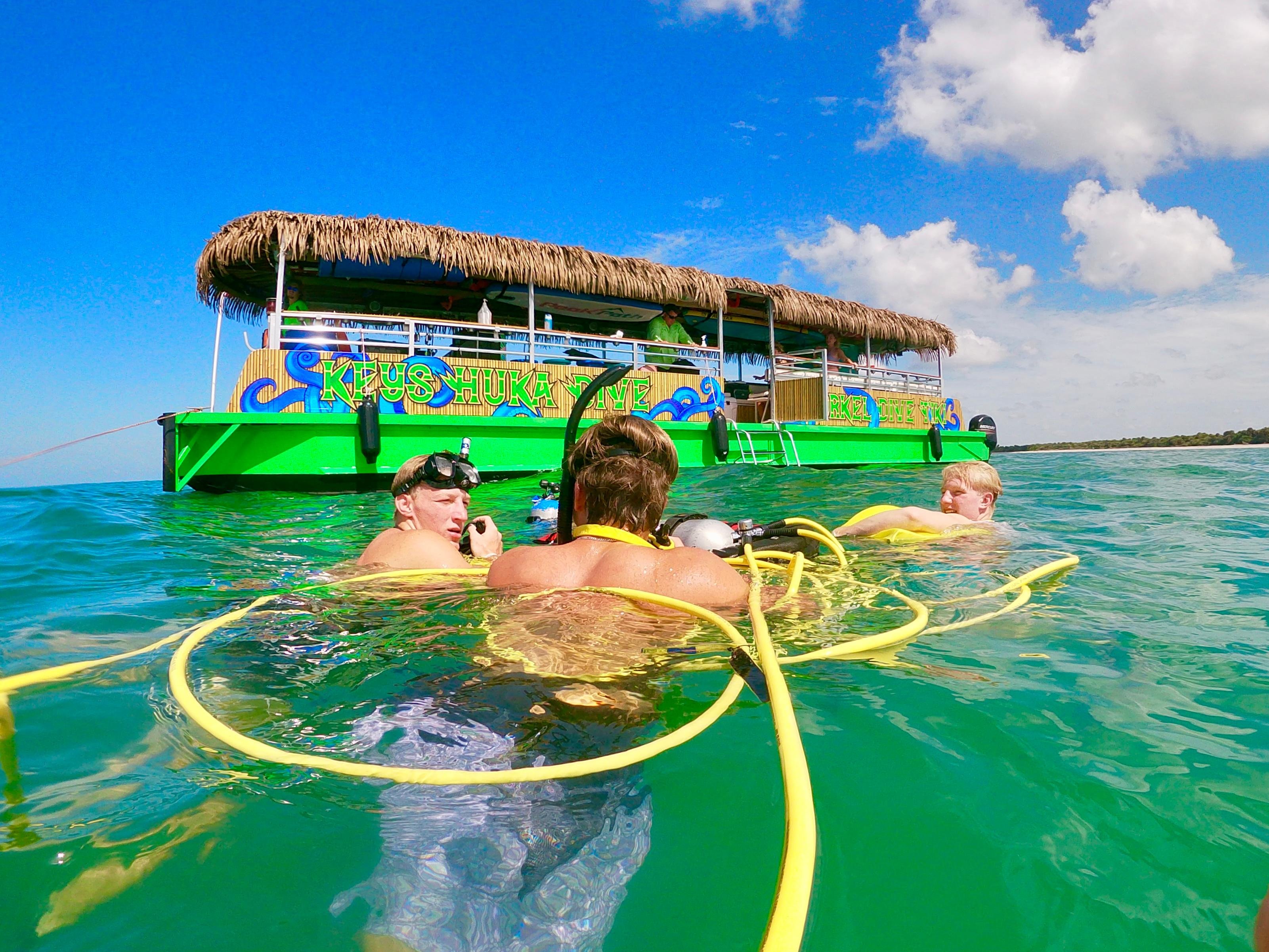 Shark Tooth Hunting & Snorkel Adventure