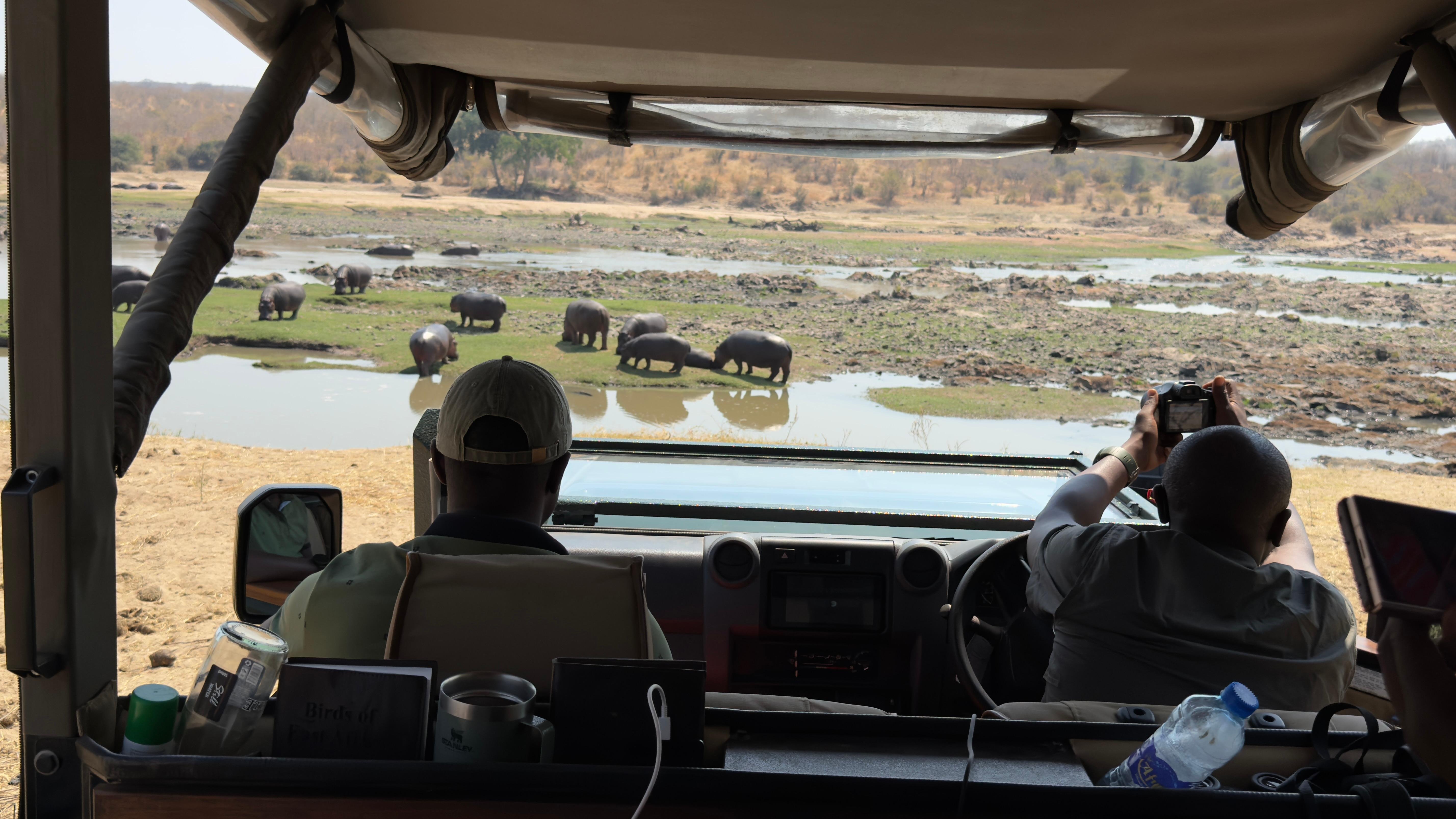Mikumi National Park Fly-In Day Safari from Zanzibar