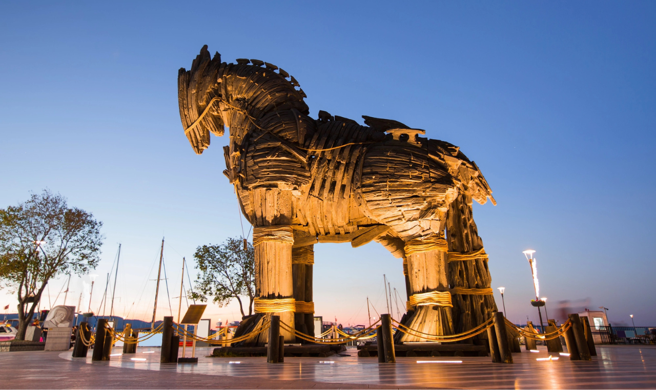 Istanbul to Troy: Guided Day Trip with Dardanelles Ferry