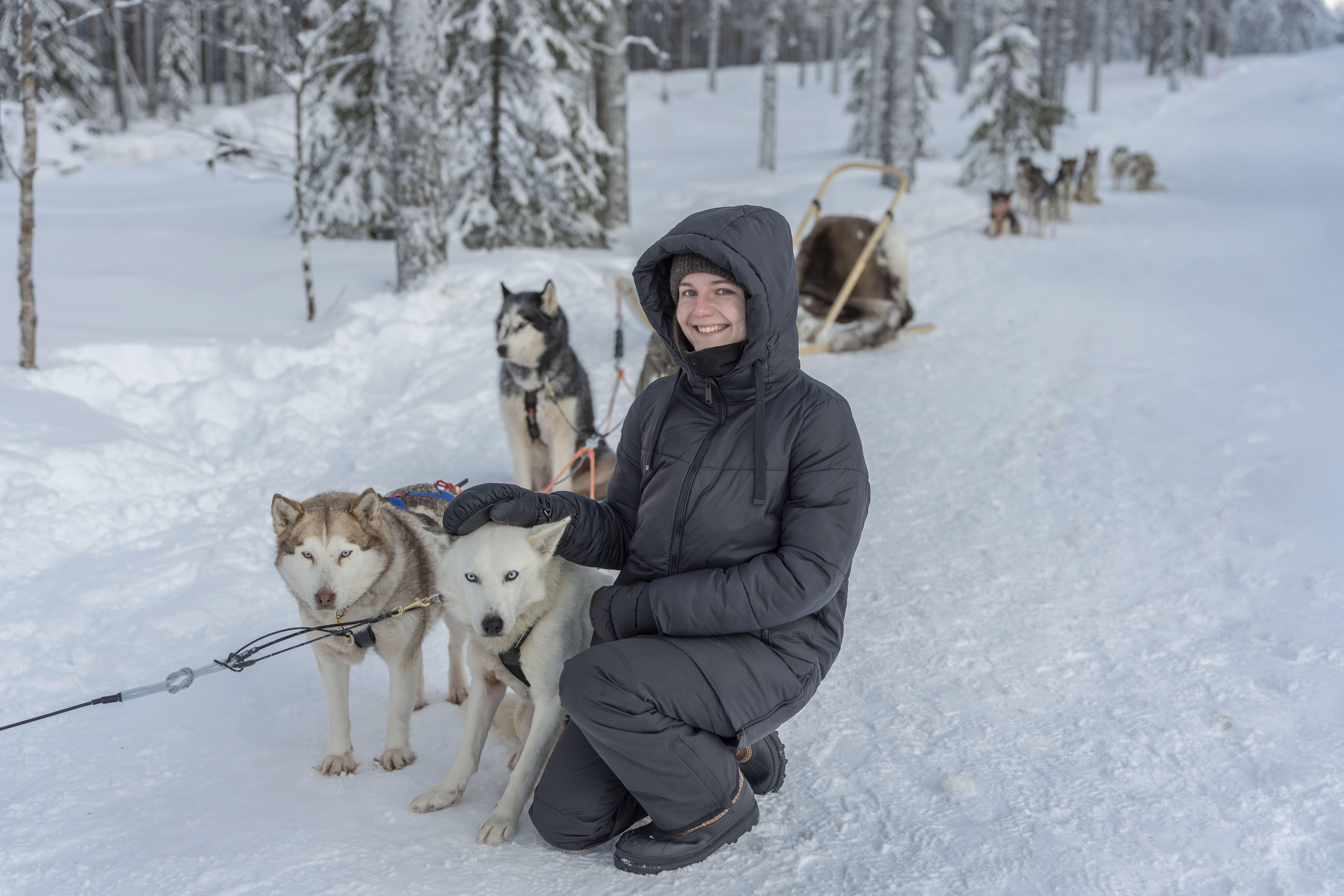 Rovaniemi Snowmobile Safari & Arctic Wildlife Day Tour