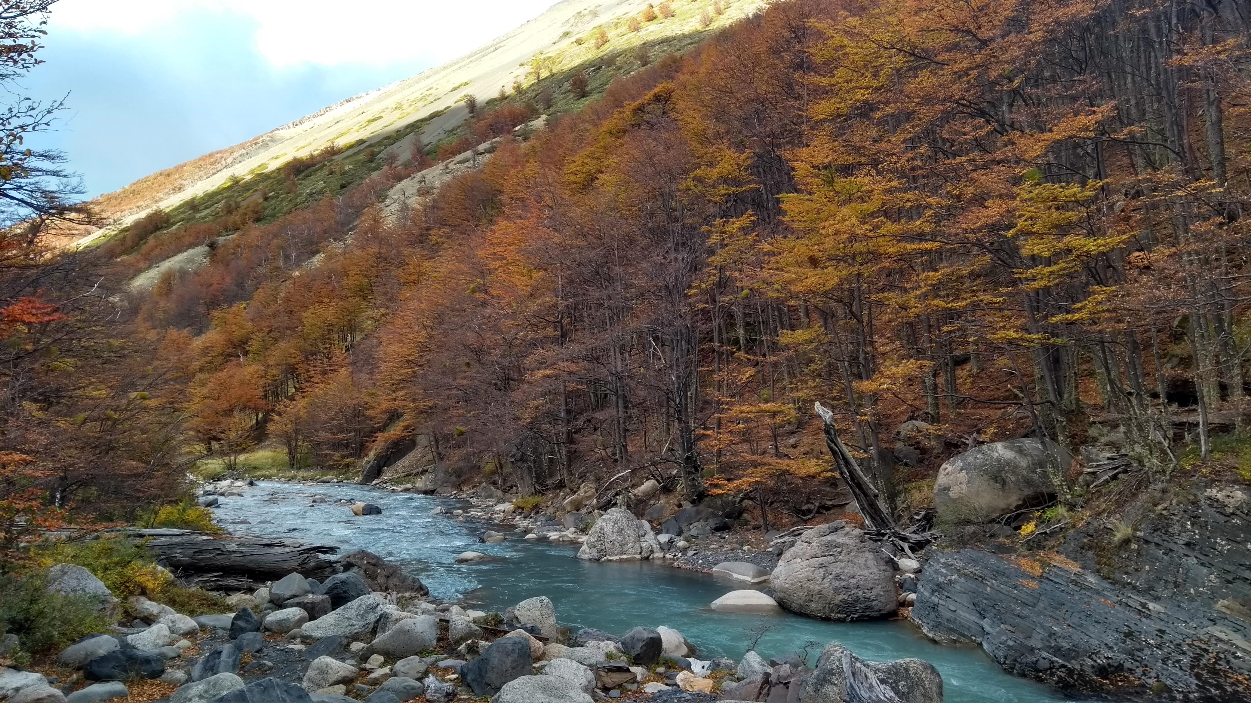 Private Full-Day Las Torres del Paine Expedition