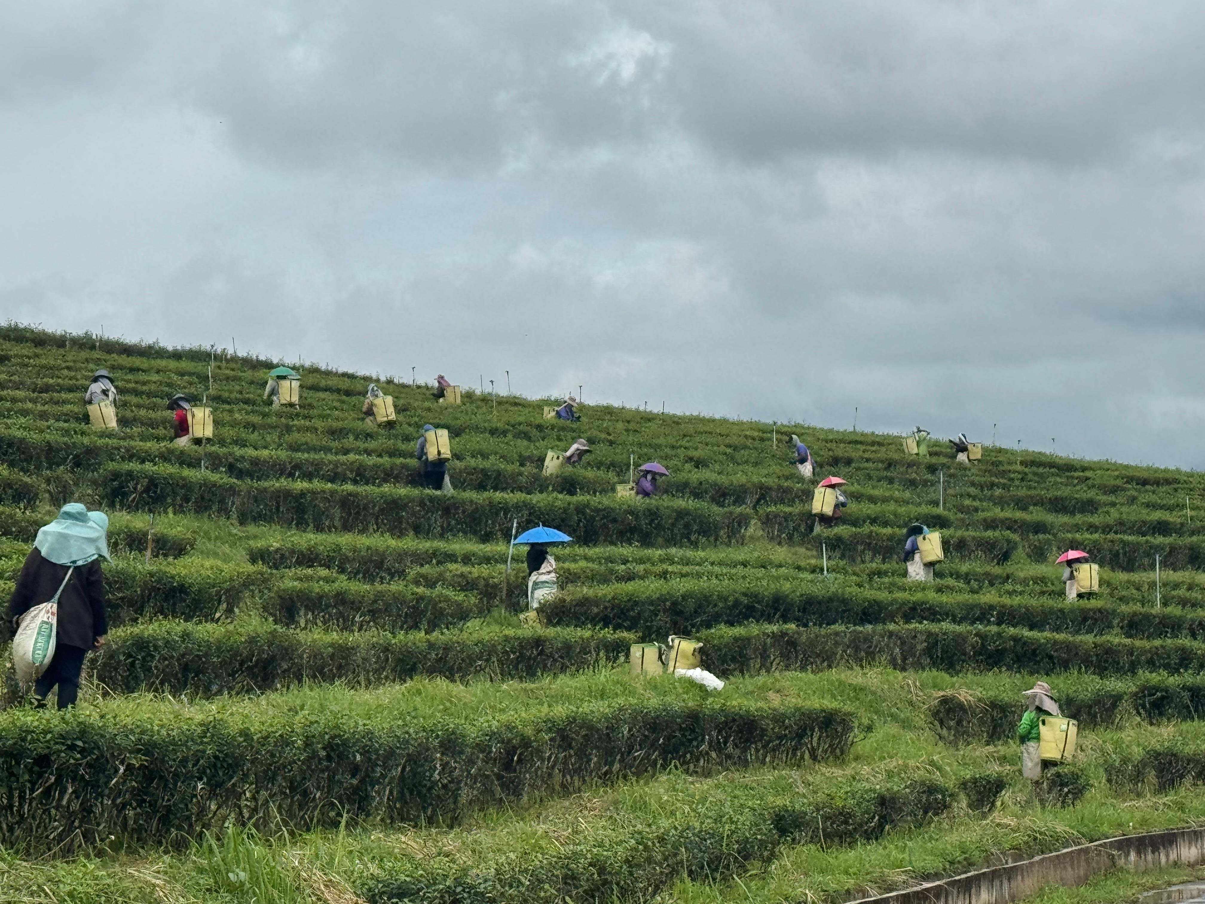 Chiang Rai: 7 Iconic Landmarks & Riverside Buffet Tour