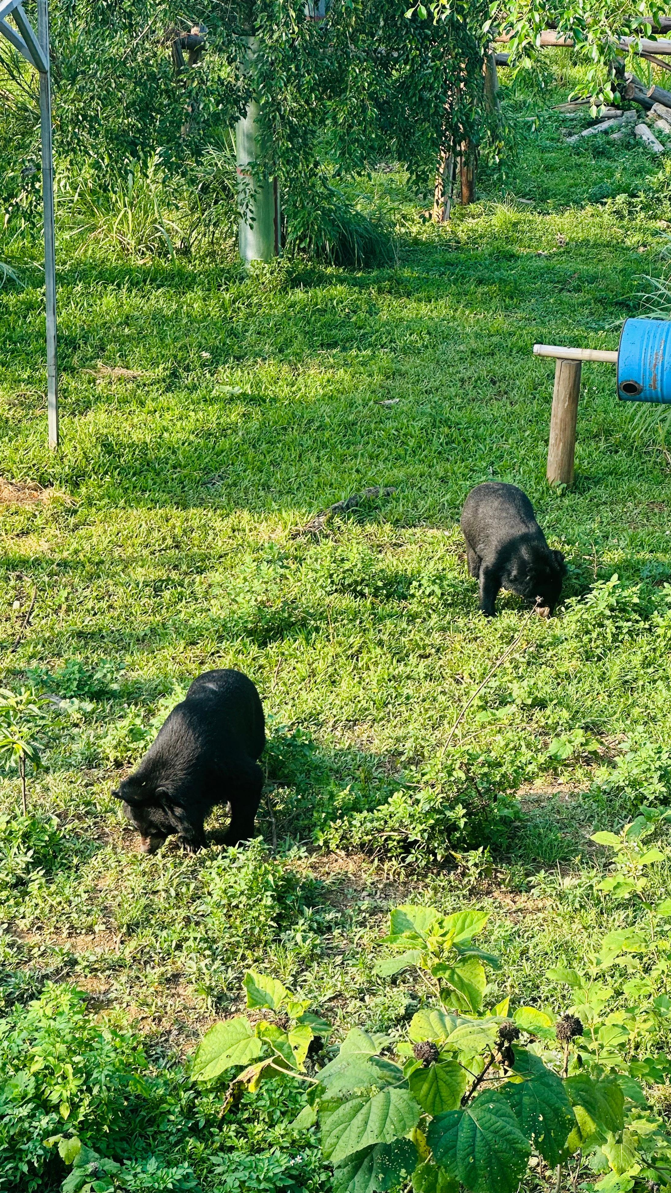 Cuc Phuong National Park Day Trek & Bear Sanctuary from Ninh Binh