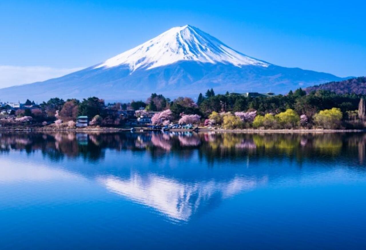 Mt. Fuji Day Tour: Scenic Stops & Lake Kawaguchi Cruise from Tokyo