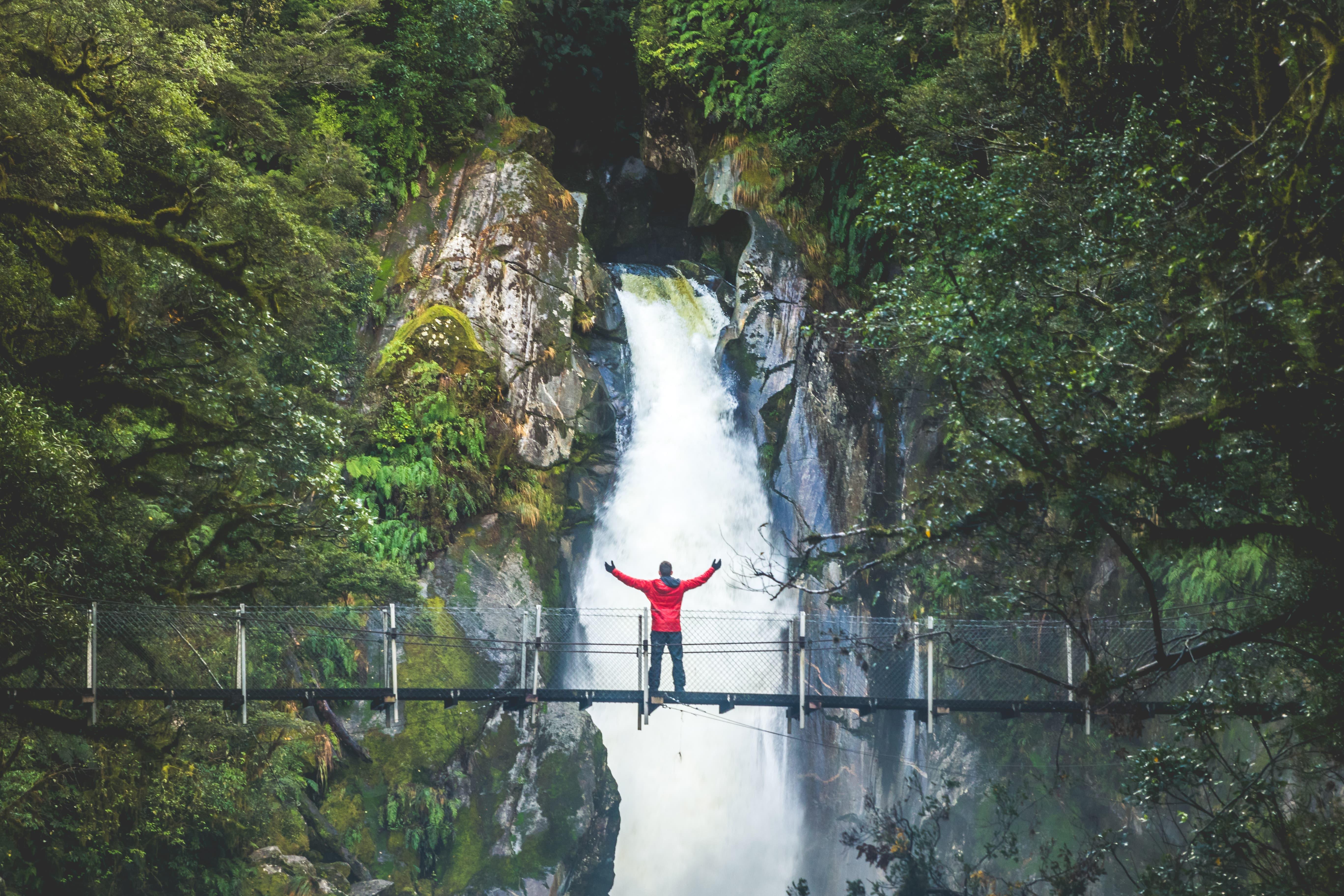 Milford Sound Cruise & Milford Track Walk from Te Anau