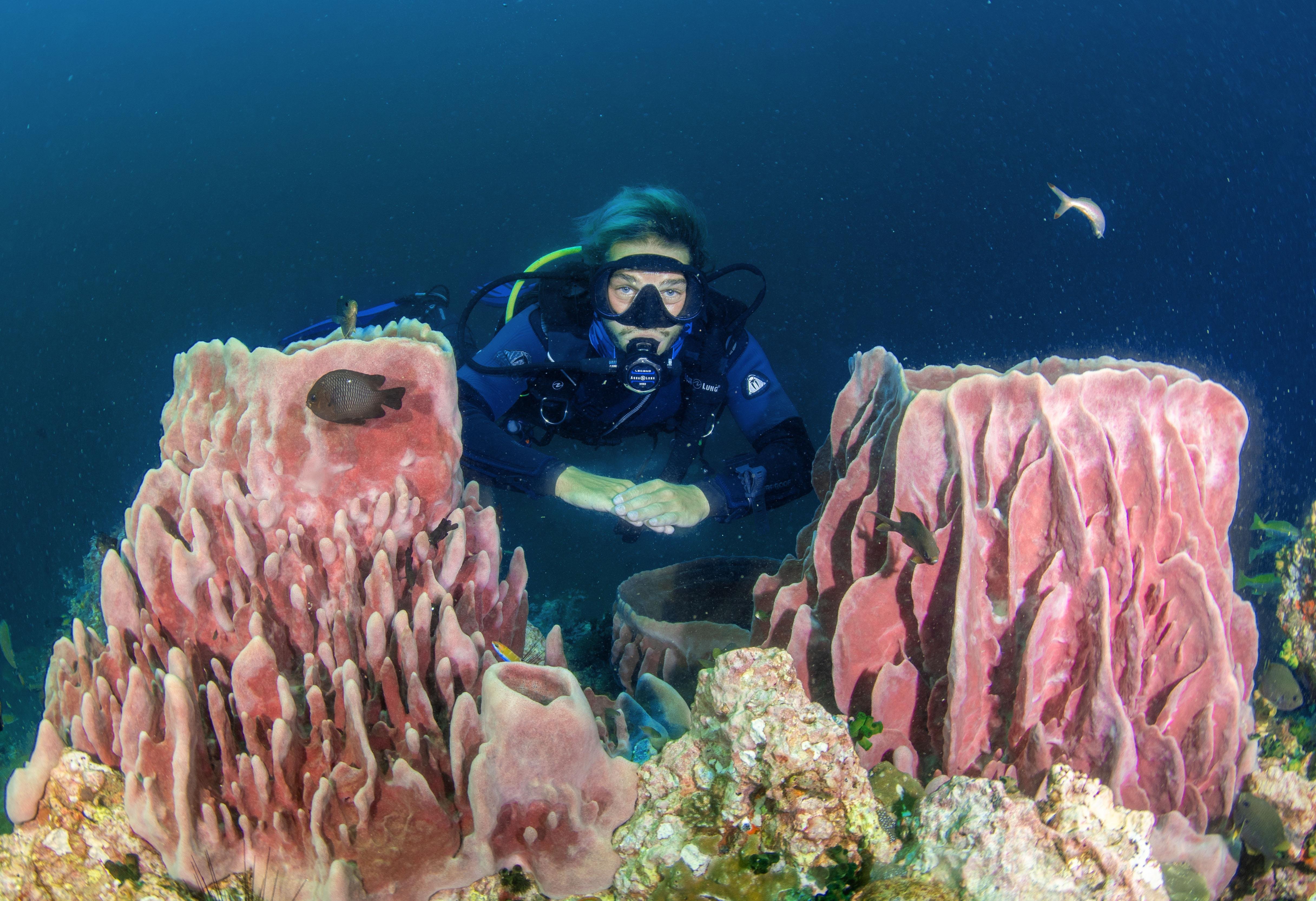 3-Day SSI Open Water Diver Certification in Phuket