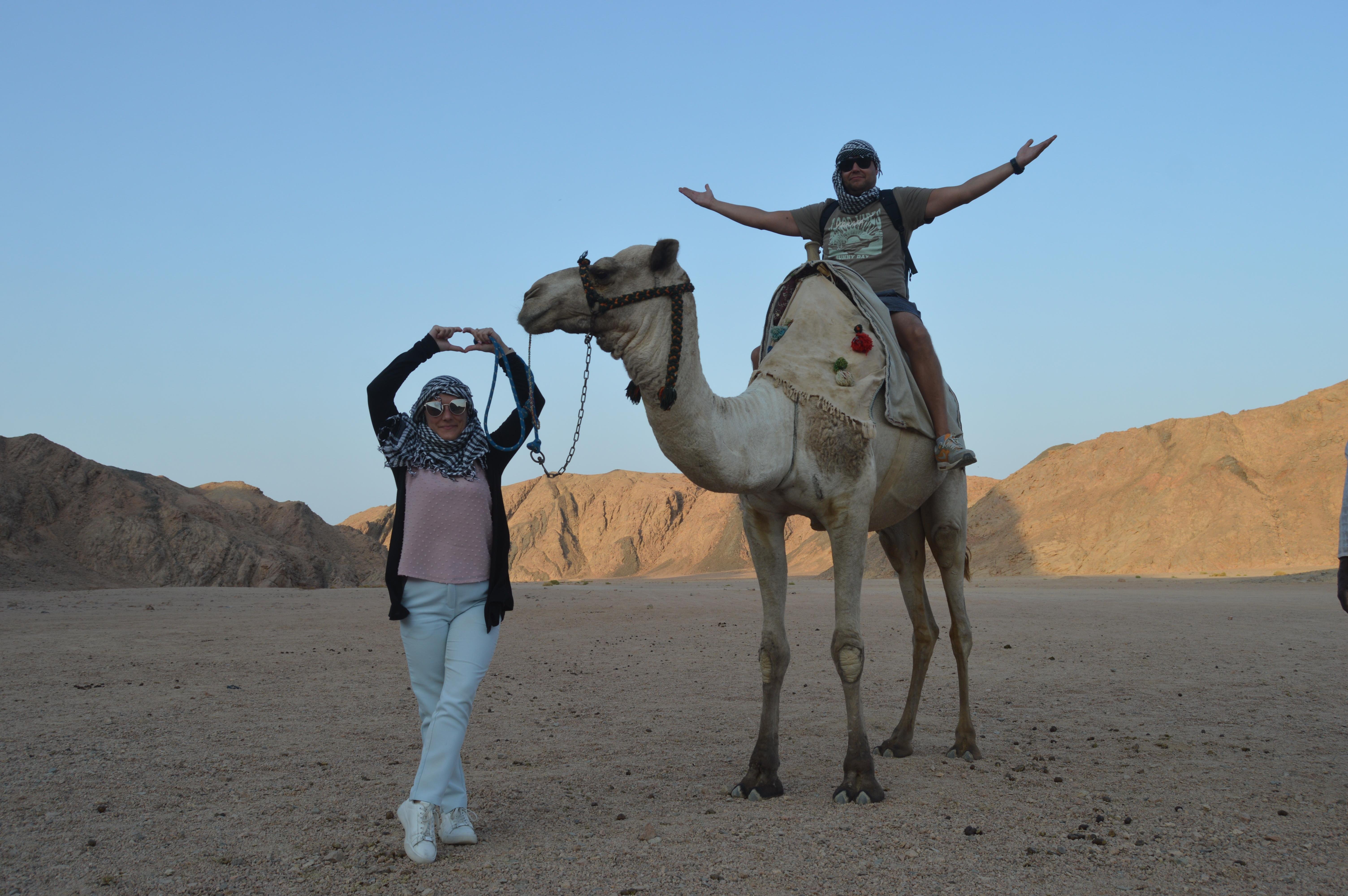 Sharm El Sheikh Desert Safari: Quad Bikes, Camel Ride, Dinner & Stargazing