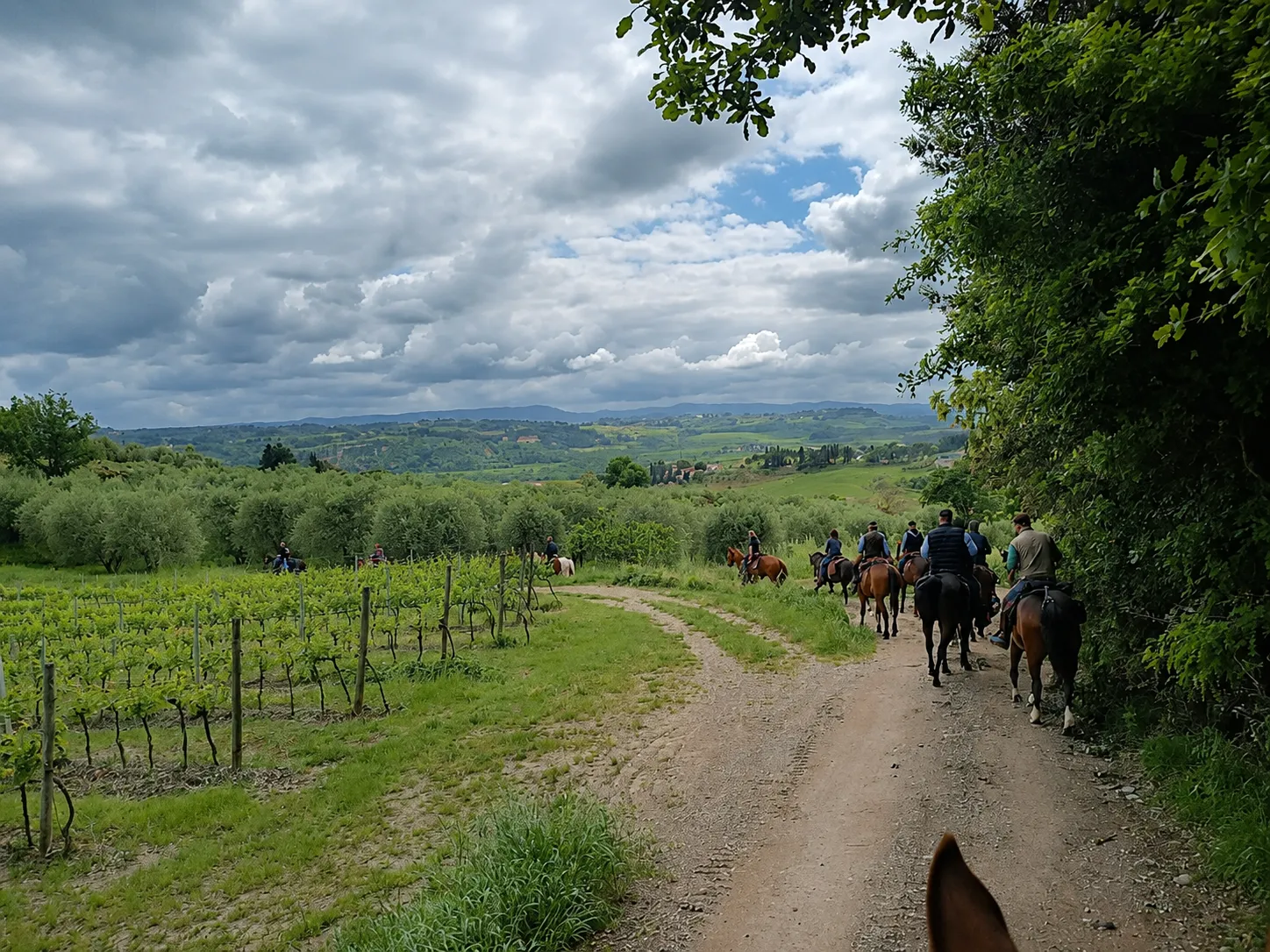 Tuscan Hills Horseback Trail & Aperitivo Experience