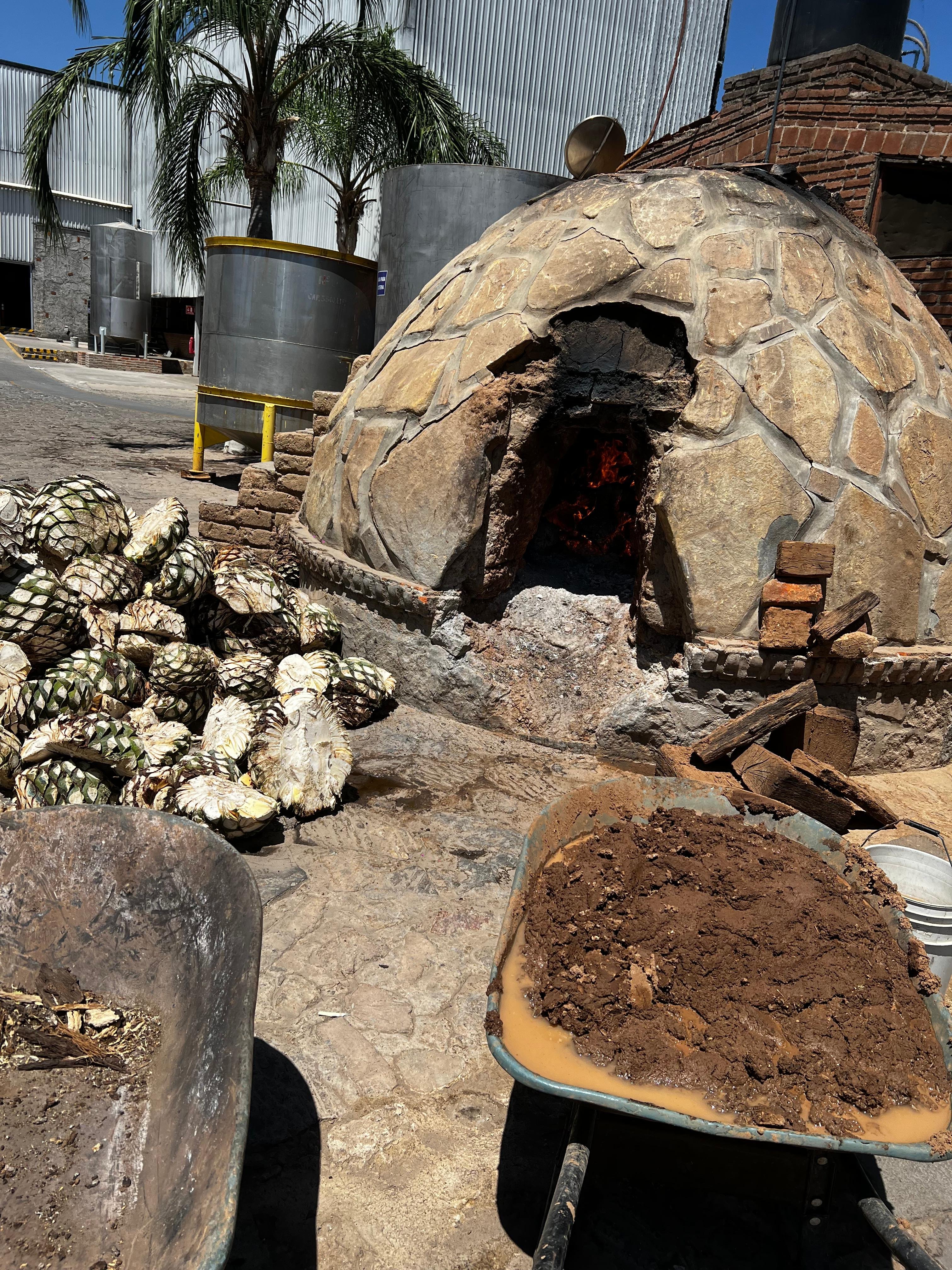 tequila tour in Guadalajara — photo 30
