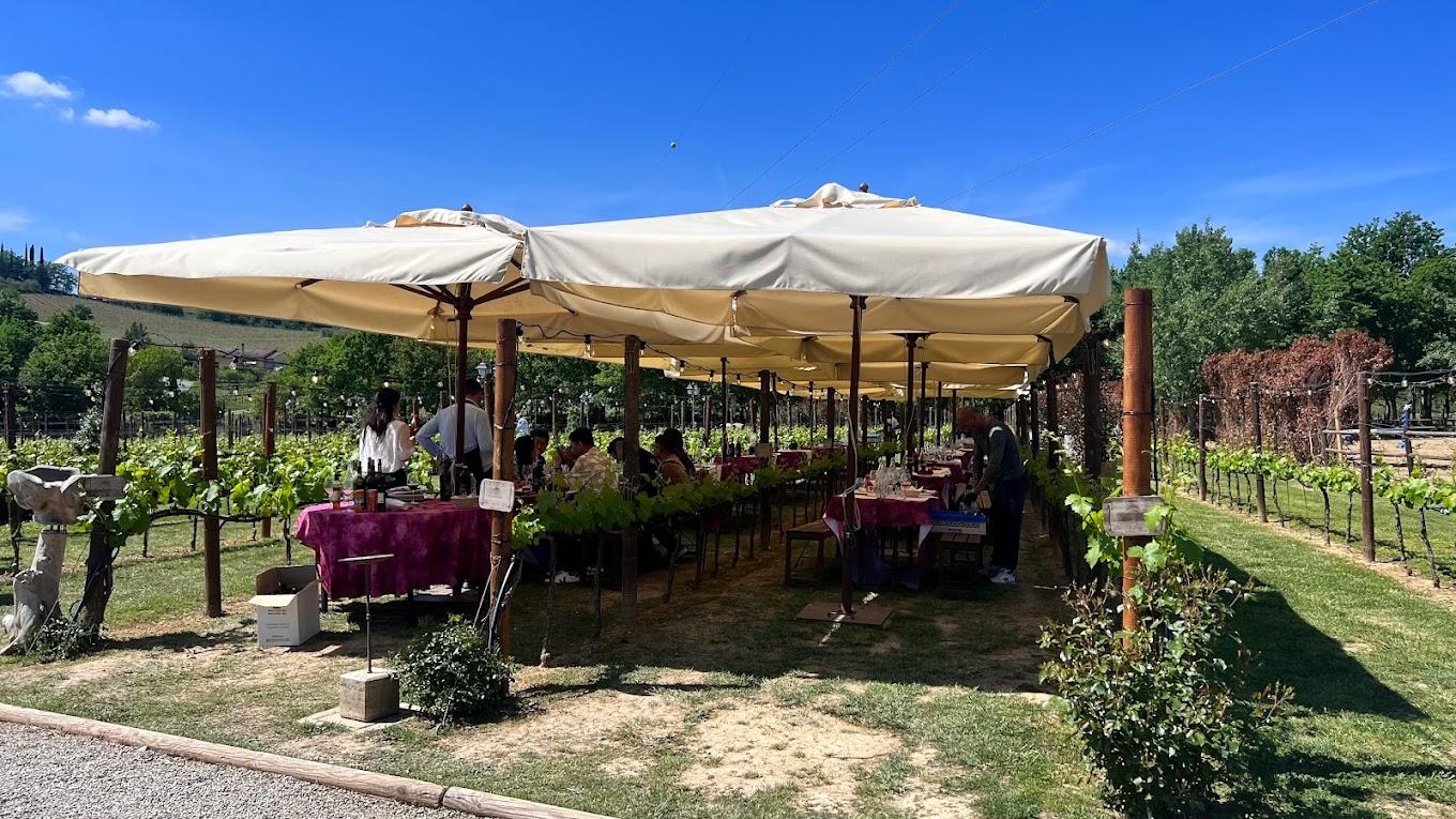 Tuscan Hill Towns & Wine Tasting Day Trip from Rome