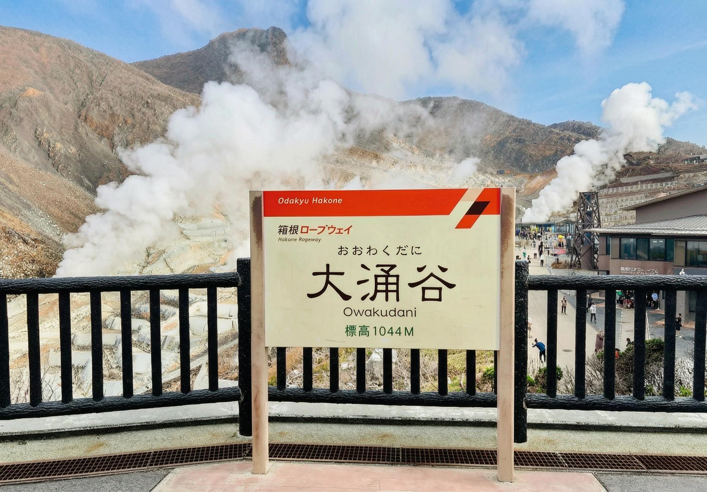 Hakone & Enoshima Day Tour: Ropeway, Pirate Ship & Mt. Fuji Views
