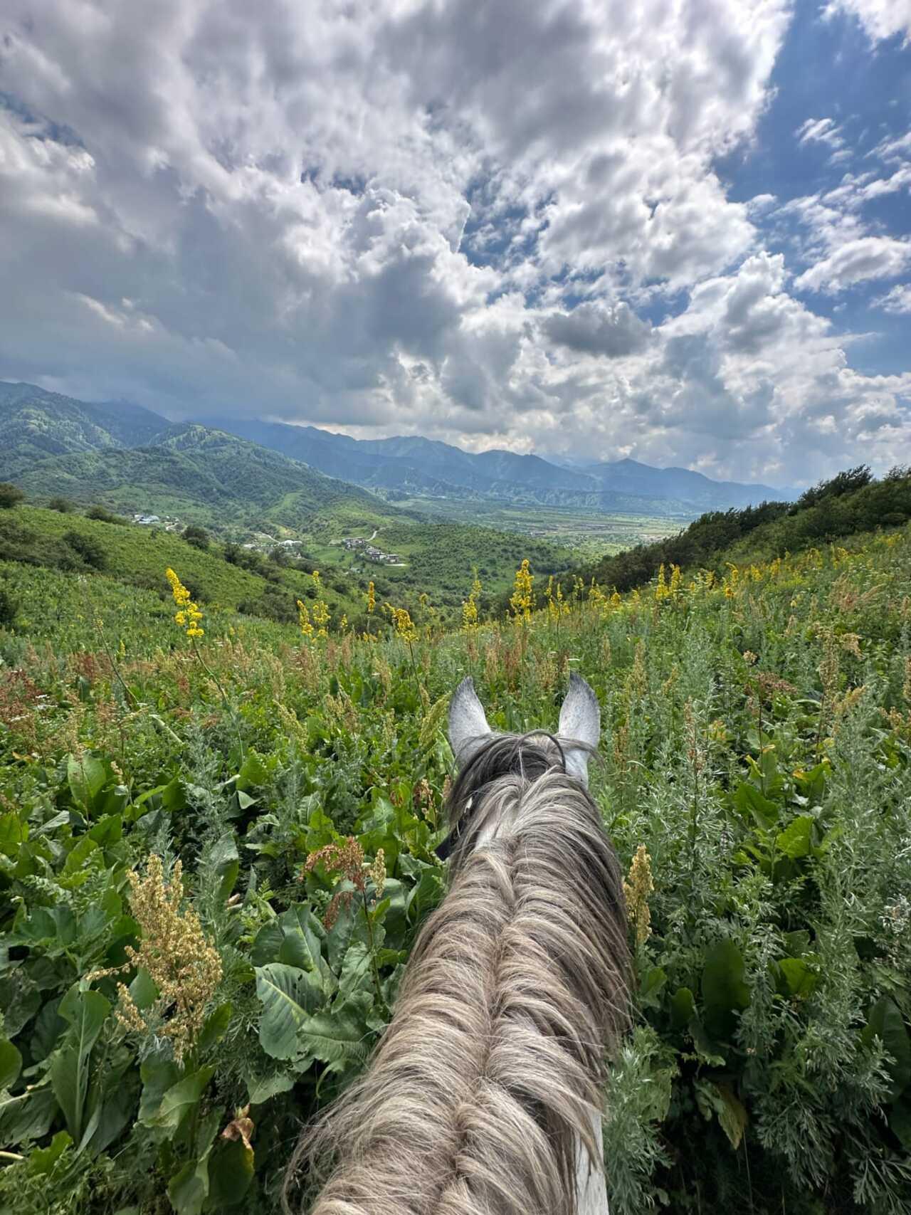 Horseback Adventure in Ile-Alatau National Park