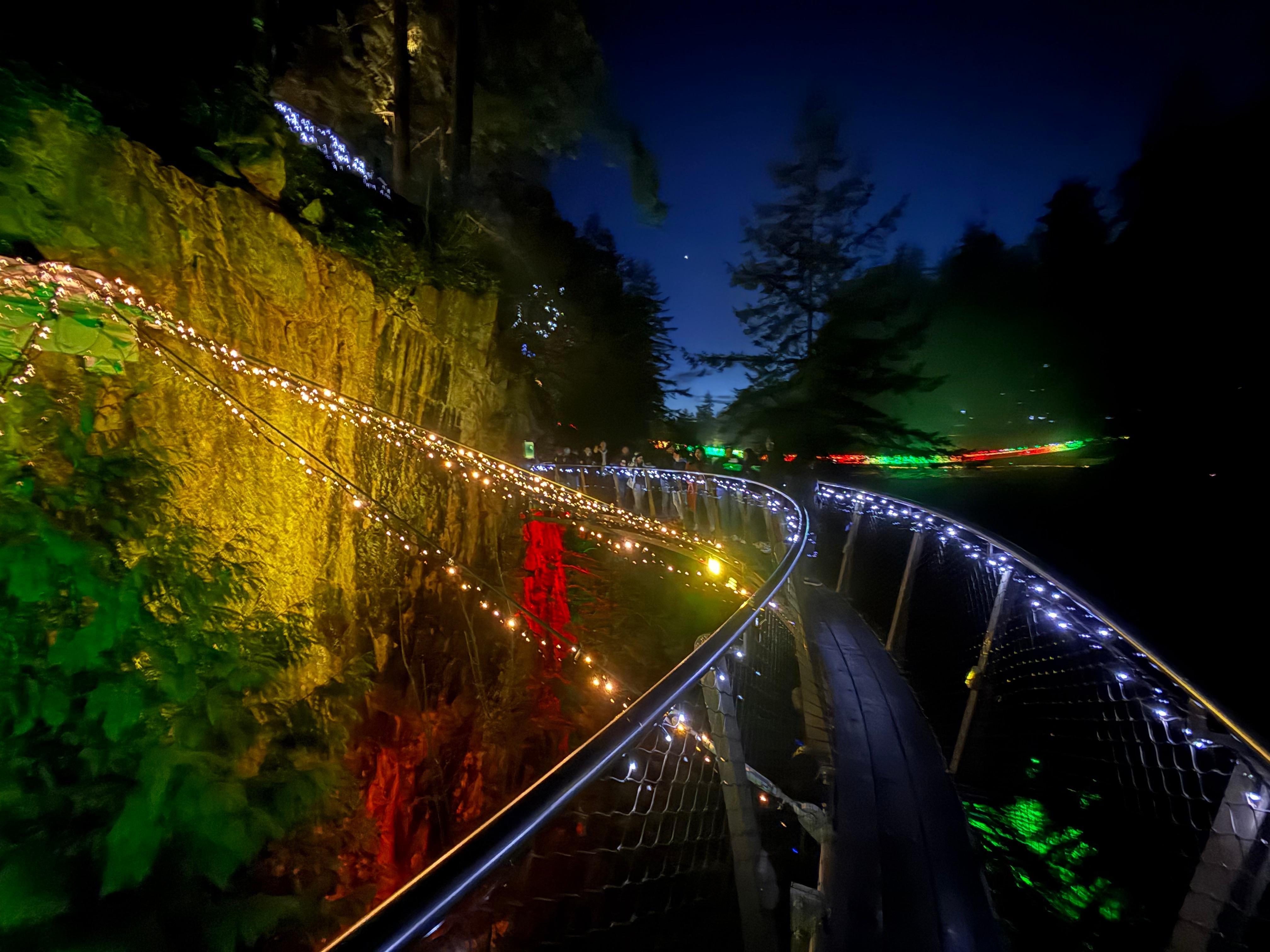 Capilano Suspension Bridge & Stanley Park Small Group Tour