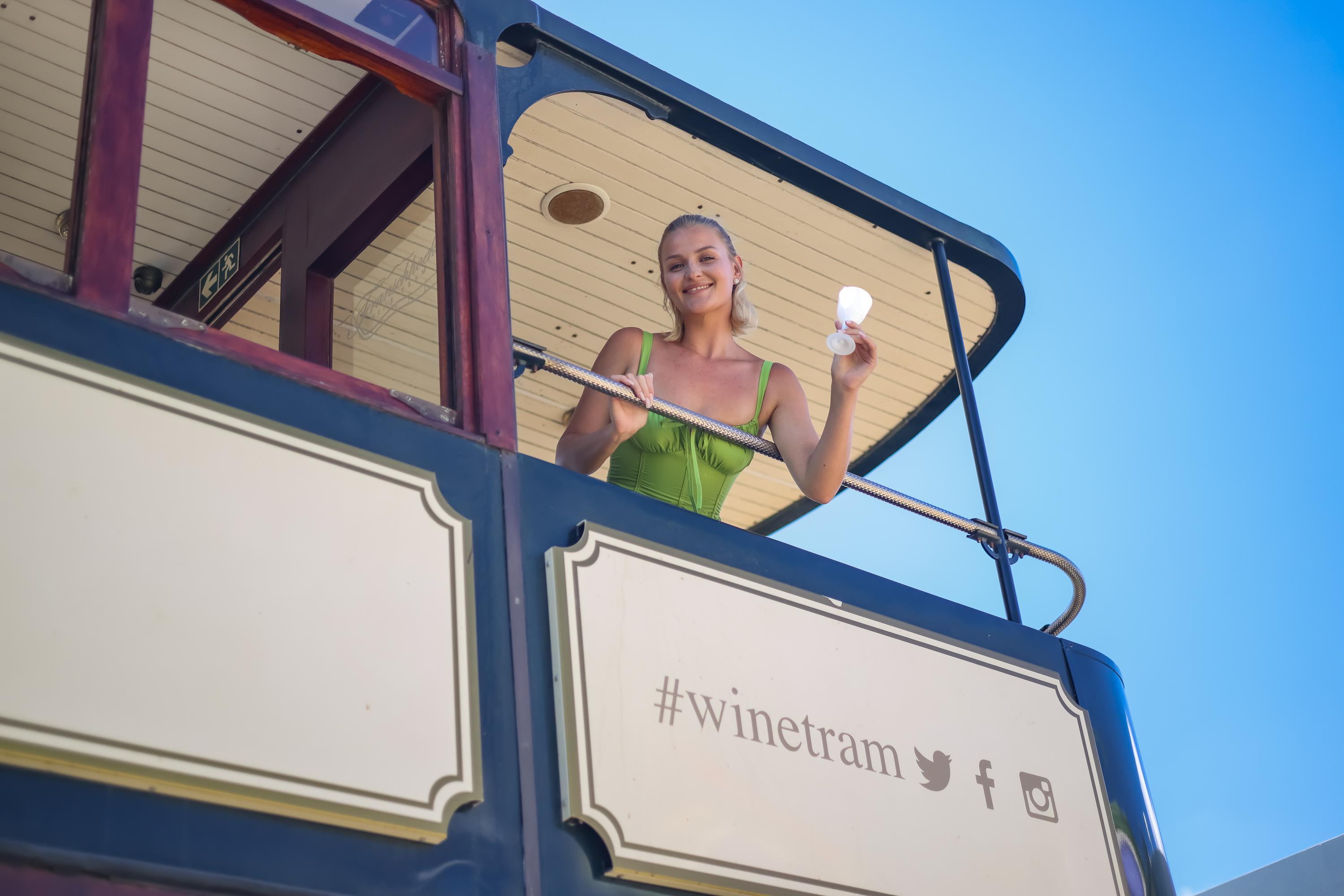Cape Town Full-Day Wine Tasting & Wine Tram Tour
