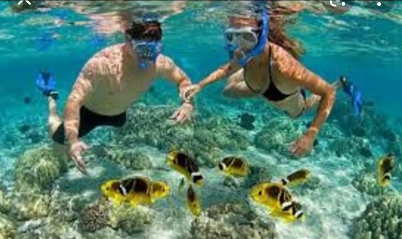 Cabo Private Yacht Experience: Arch, Snorkeling & Gourmet Bites