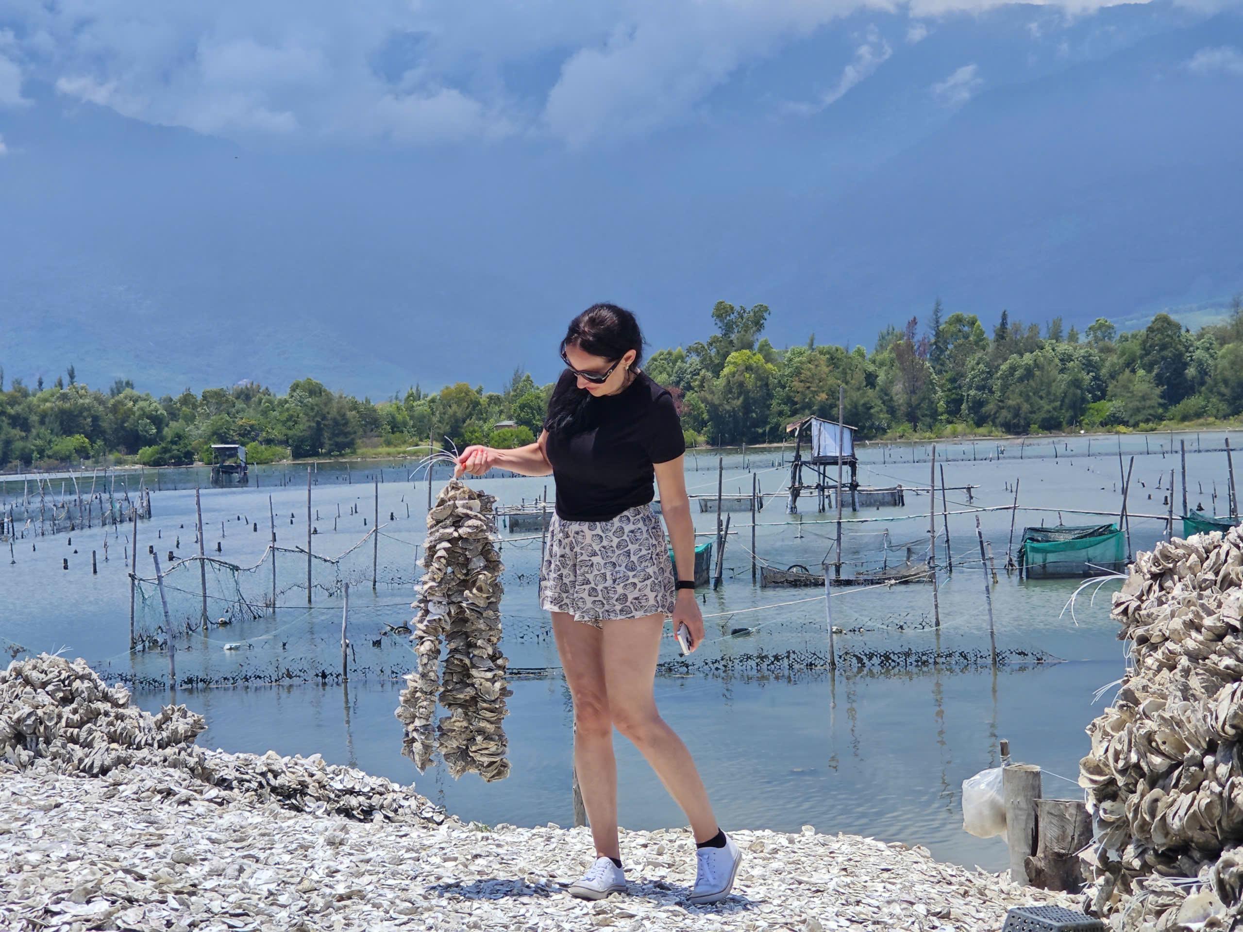 Hoi An to Hue Private Scenic Transfer via Hai Van Pass