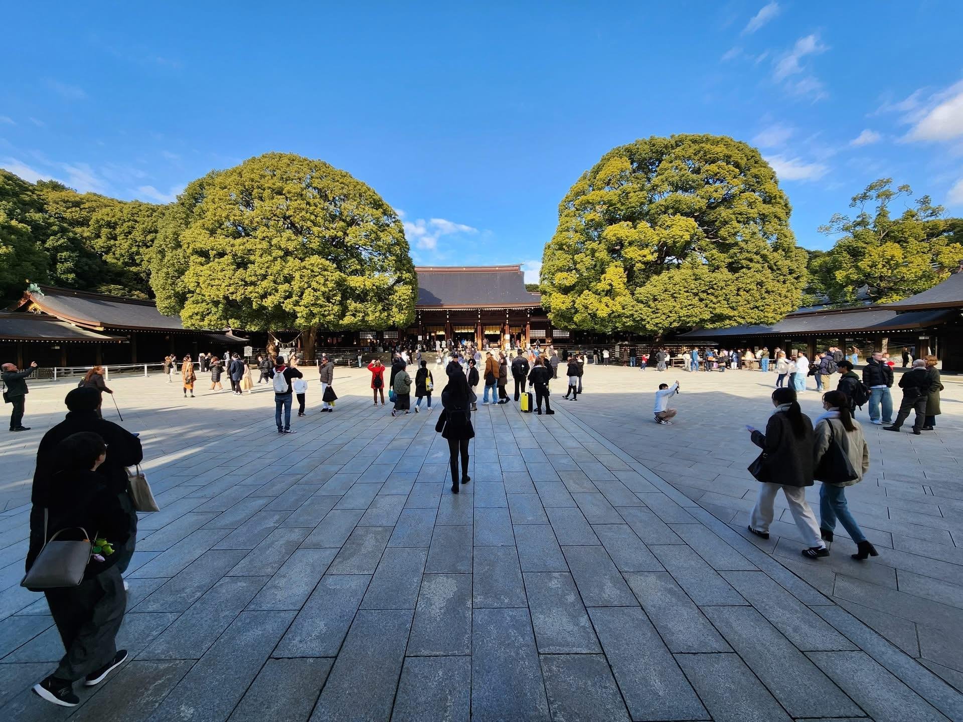 Tokyo Private Full-Day City Tour — Custom Itinerary with English Guide