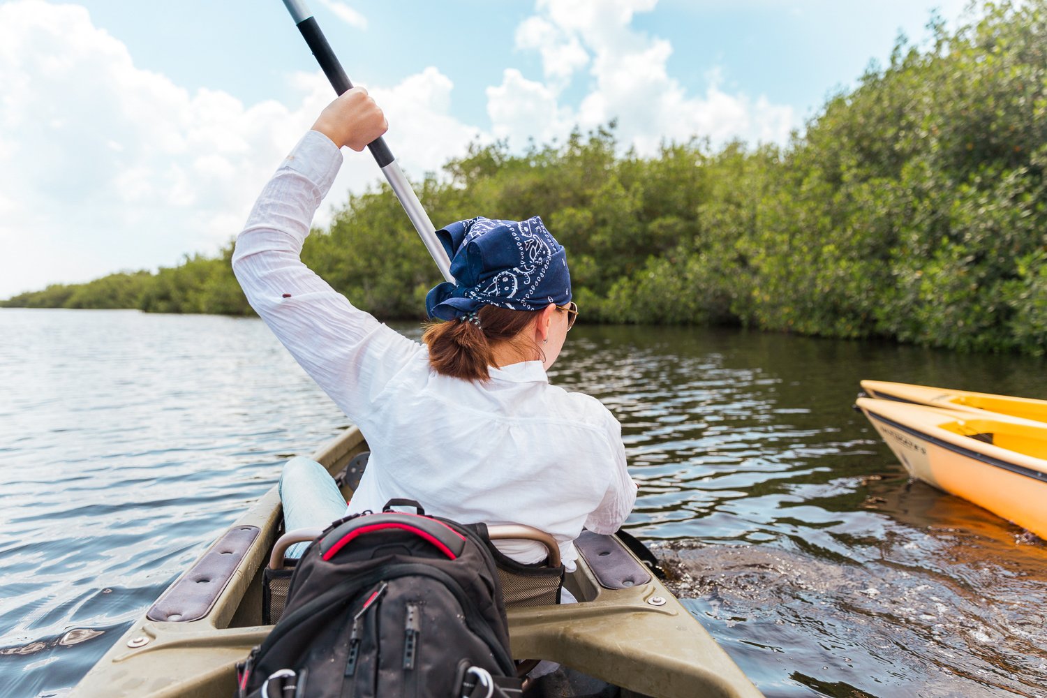 Everglades Mangrove Tunnel Kayaking Eco-Tour