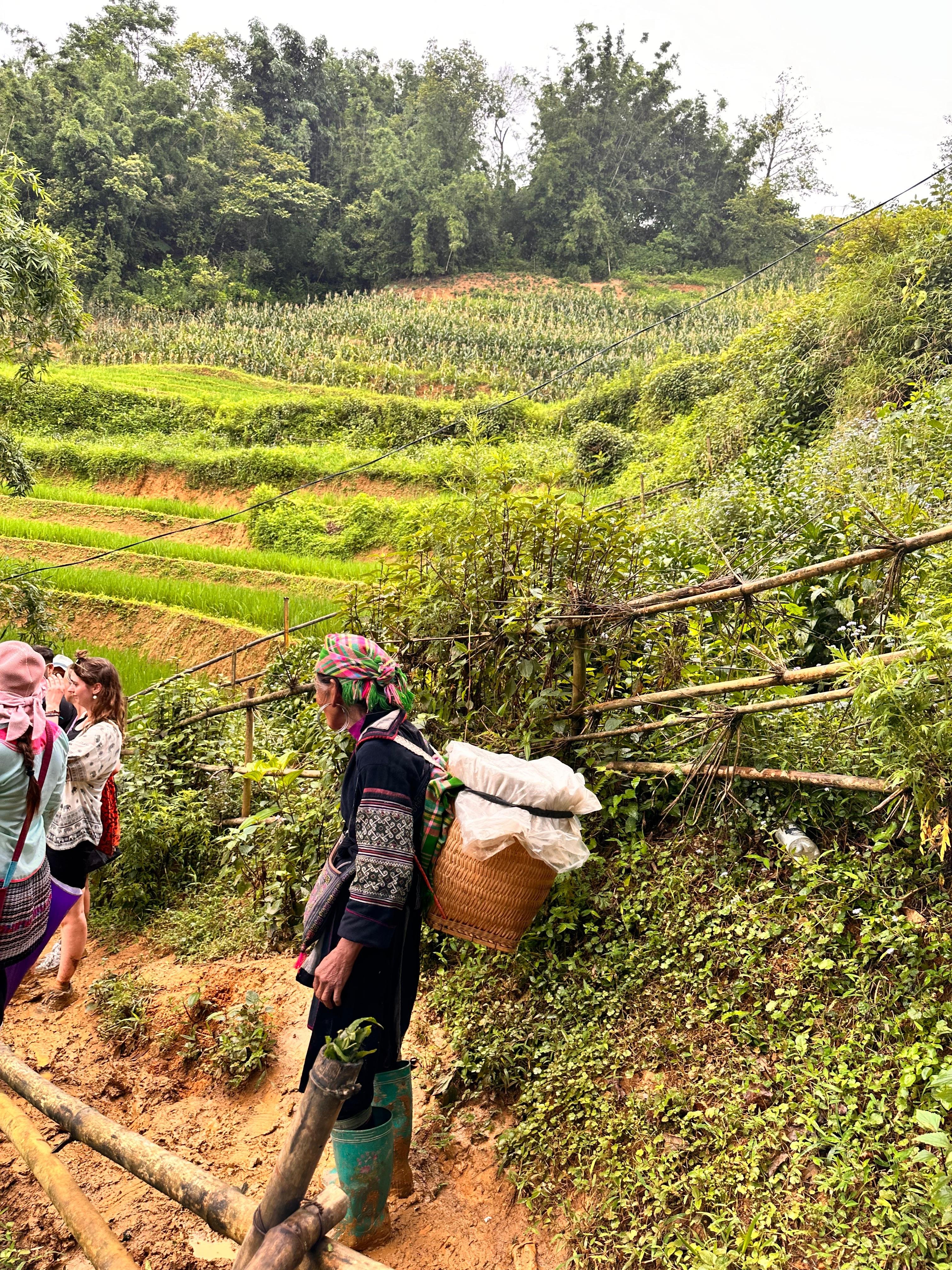 Sapa 2-day trek — Muong Hoa Valley rice terraces and ethnic-minority villages — image 6
