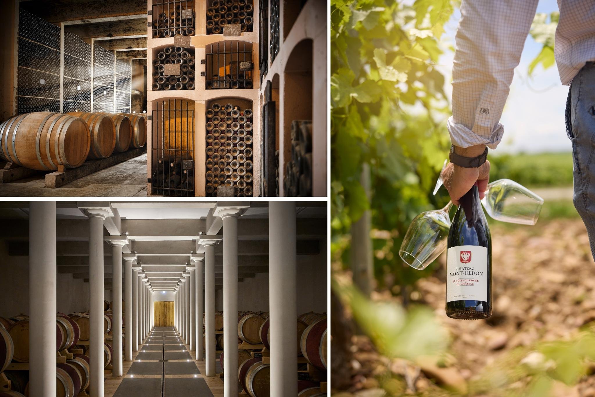 VIP Wine Estate Tour at Château Mont-Redon