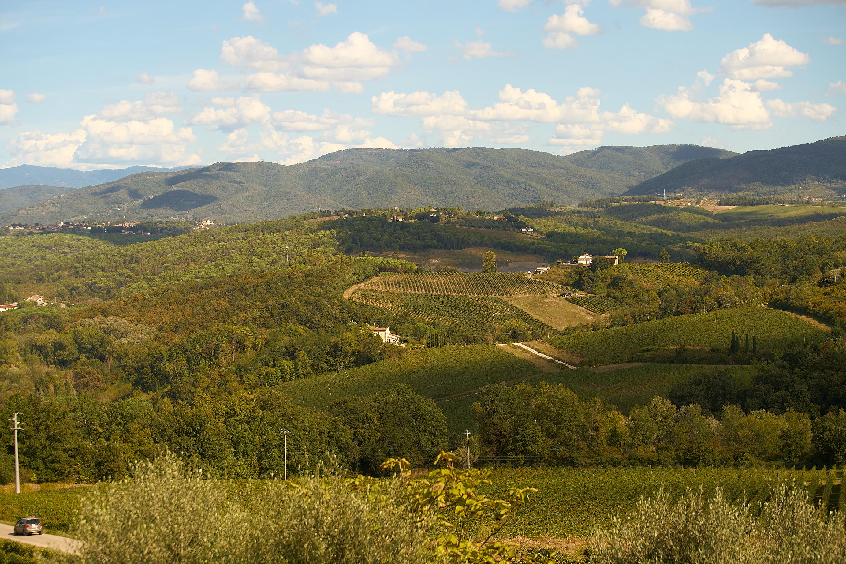 olive oil tasting in Tuscany — photo 31