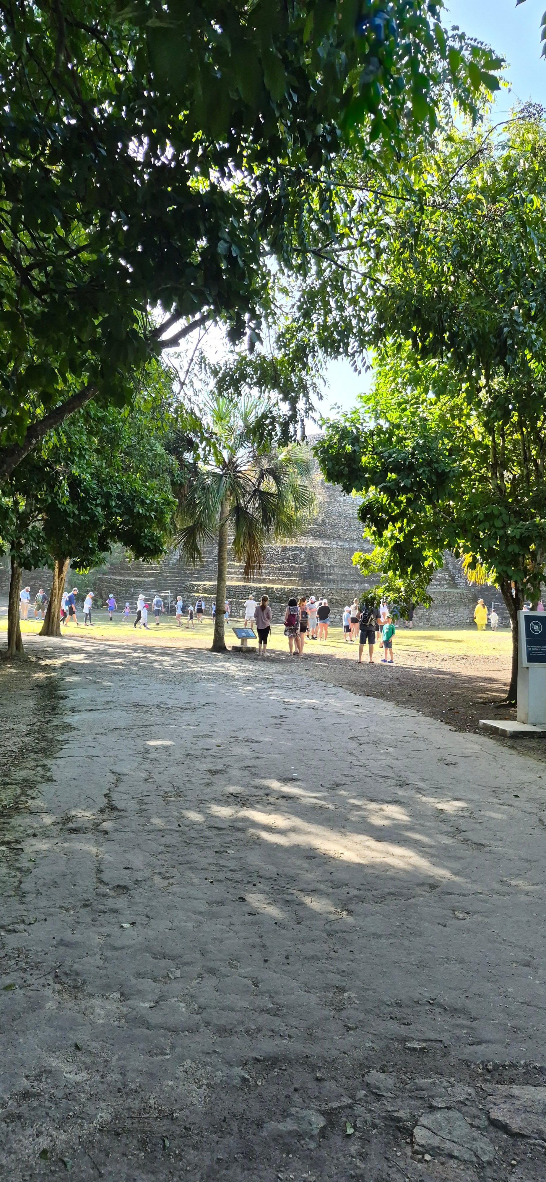 Chacchoben Mayan Ruins Exclusive Small-Group Tour