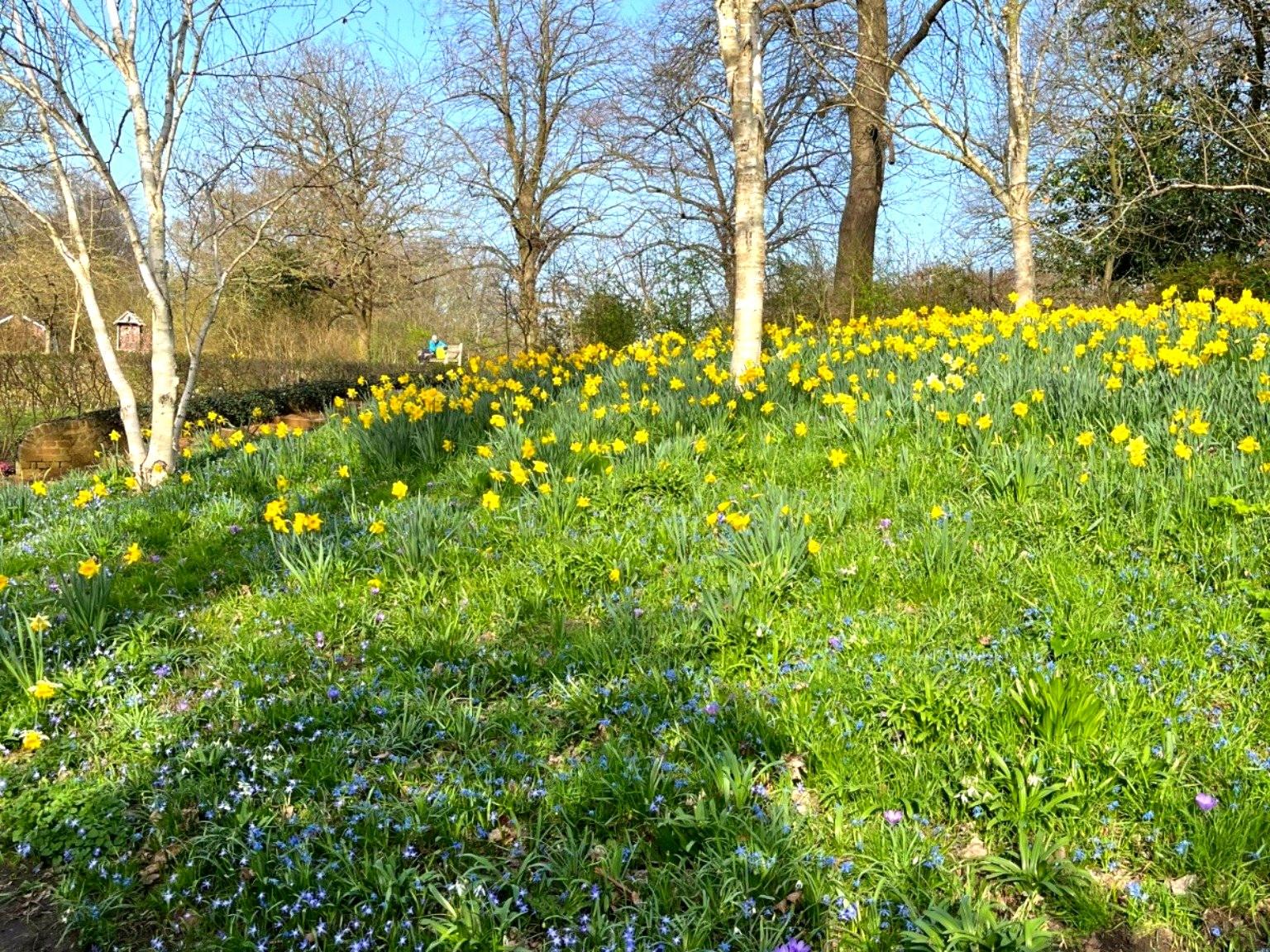 Historic Richmond & Nature Walking Expedition