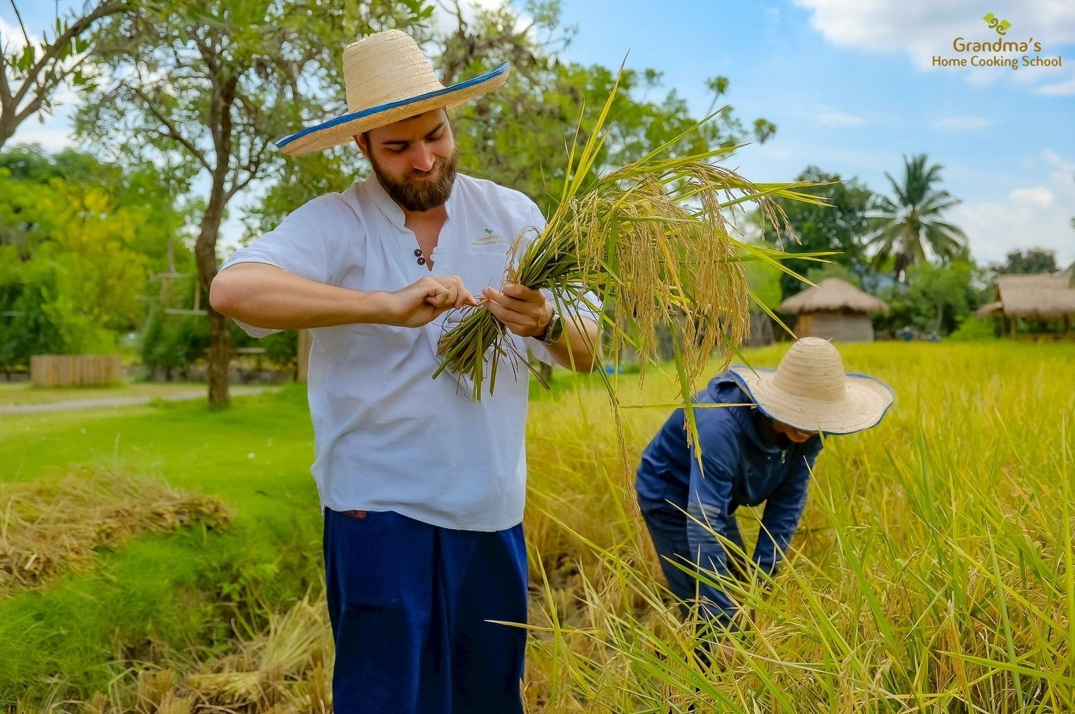 Thai Cooking Class in Chiang Mai — image 11