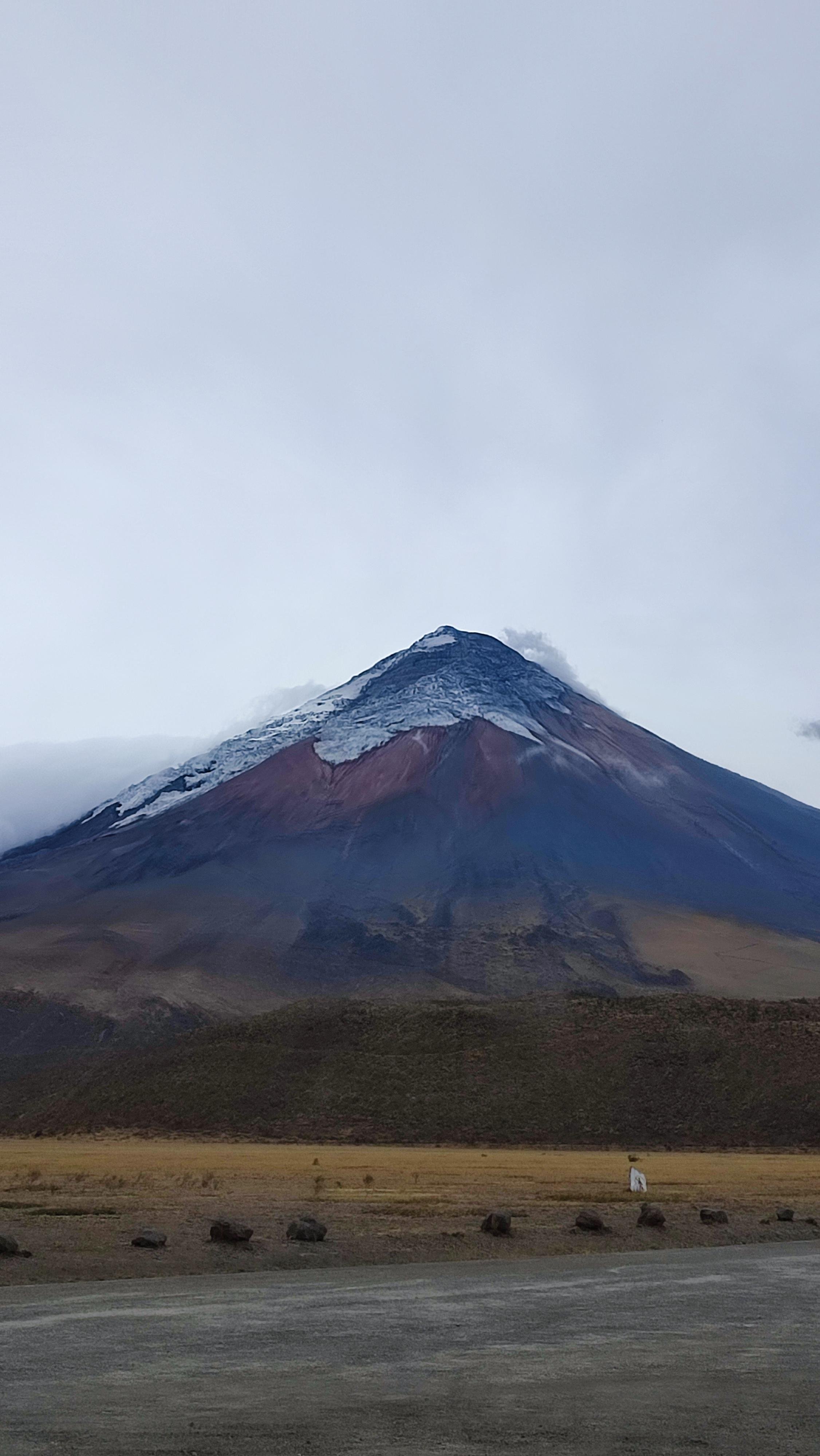 Cotopaxi Volcano Day Trip from Quito with Alpacas & Lagoon