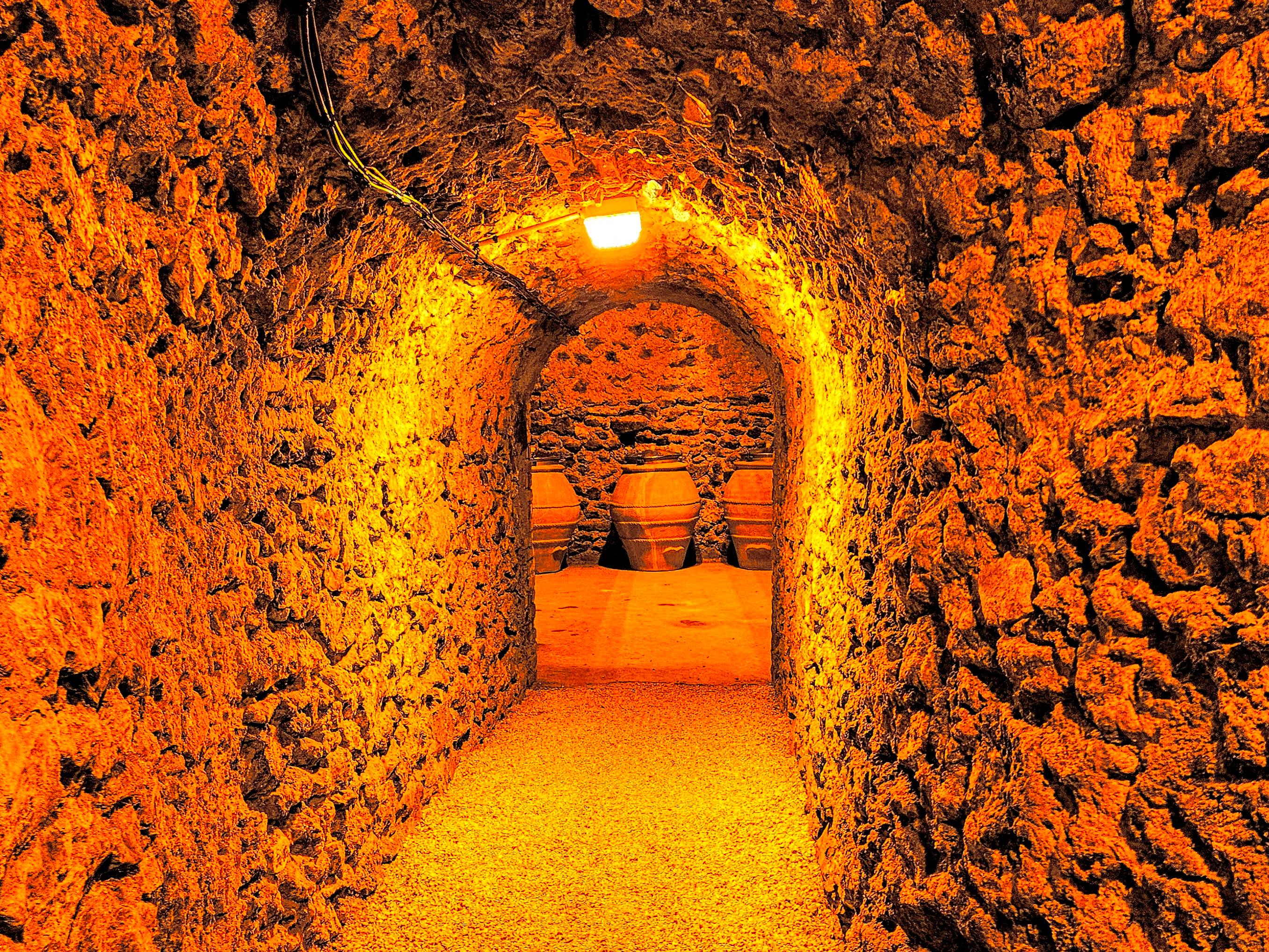 Pommery Champagne tour — Reims château, UNESCO crayères, contemporary art cellars — image 5