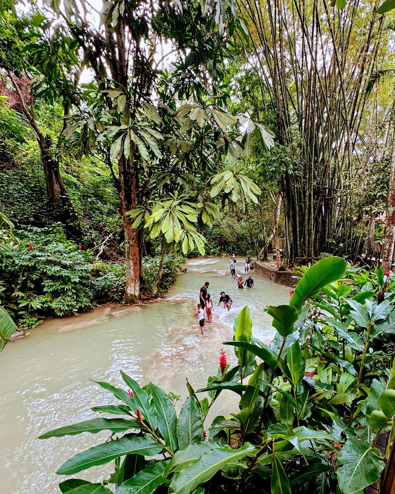 Dunn’s River Falls Guided Adventure from Ocho Rios