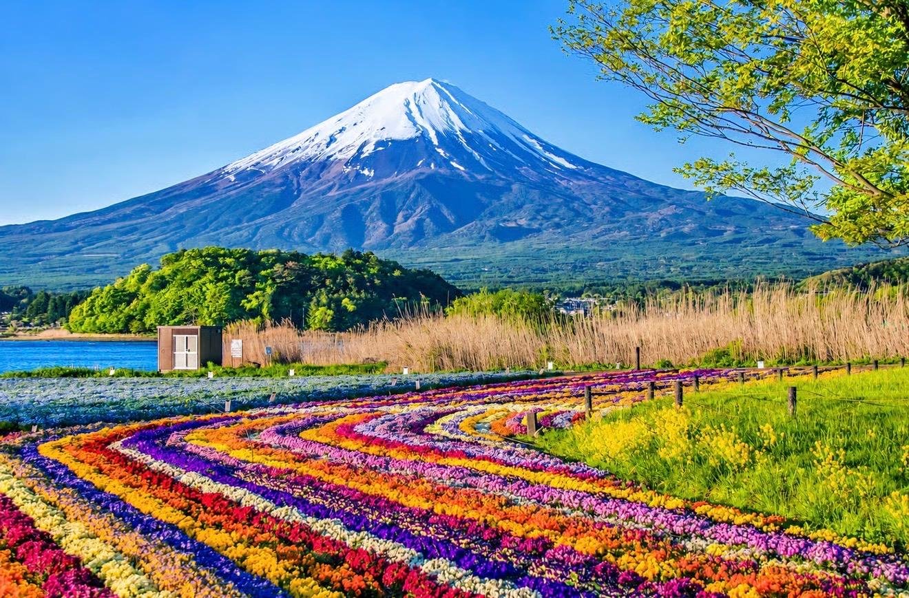 From Tokyo: Mount Fuji & Hakone Customizable Private Tour